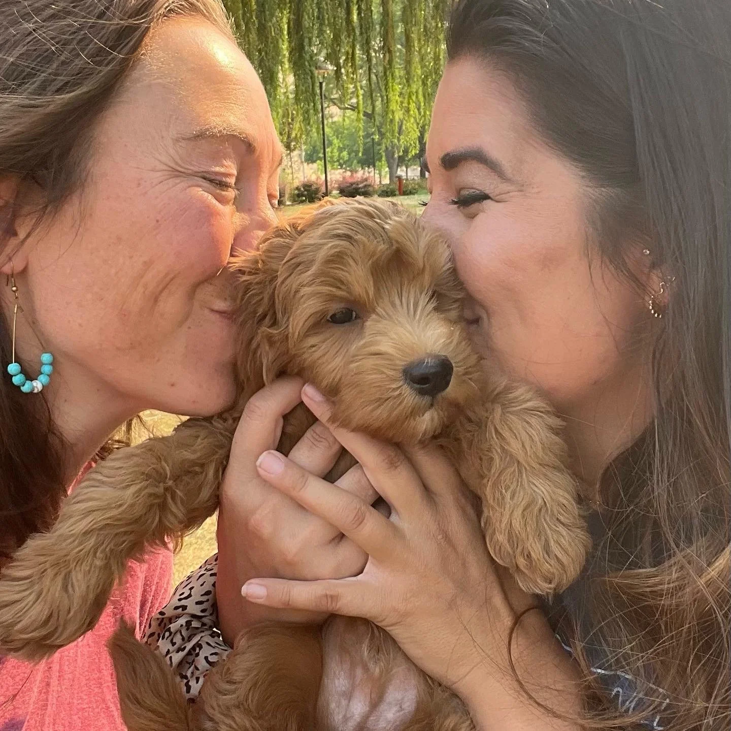 Cuddling with Goldendoodle puppy for Tacoma Washington family from High Desert Family Doodles Oregon
