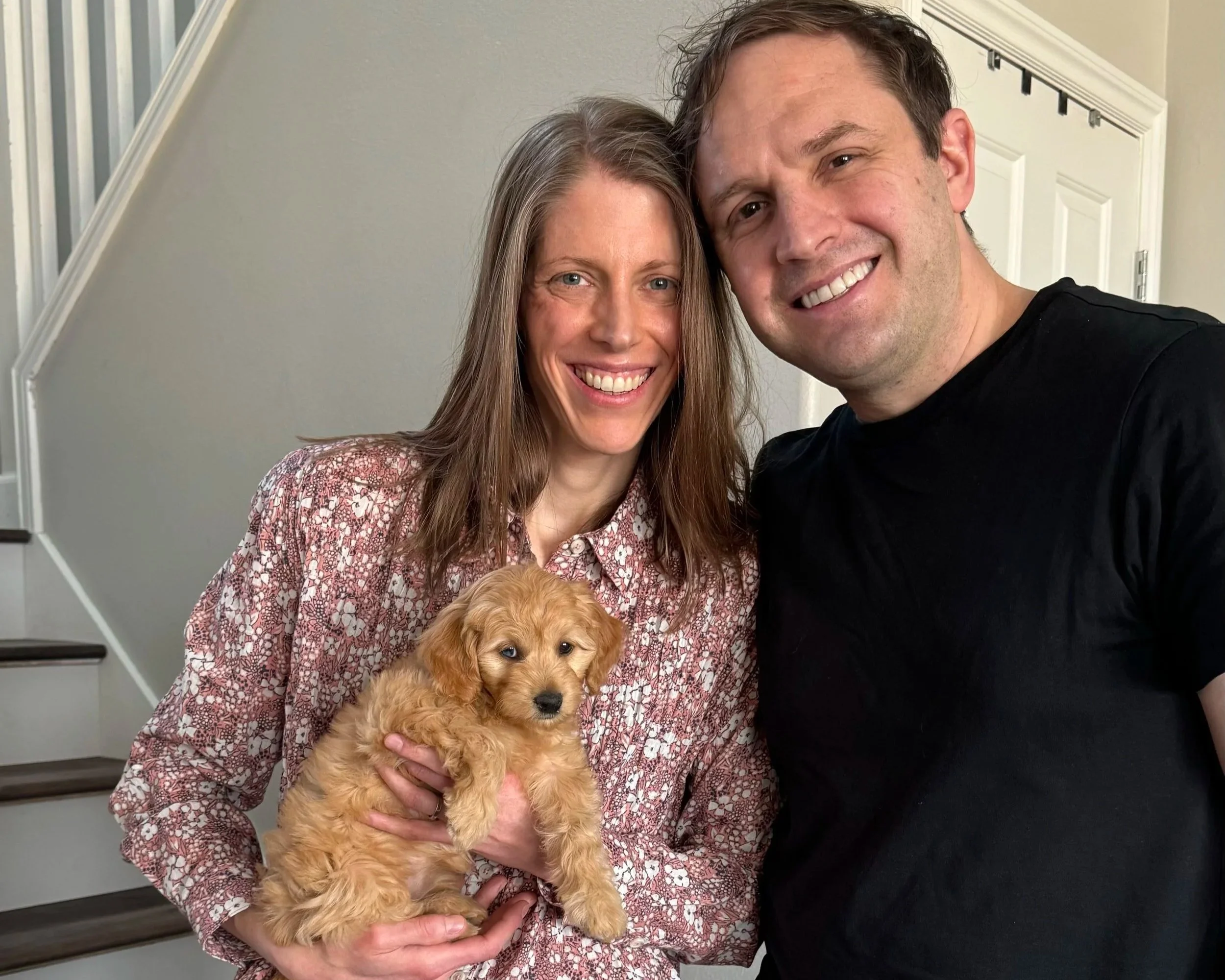 Goldendoodle breeder red flag