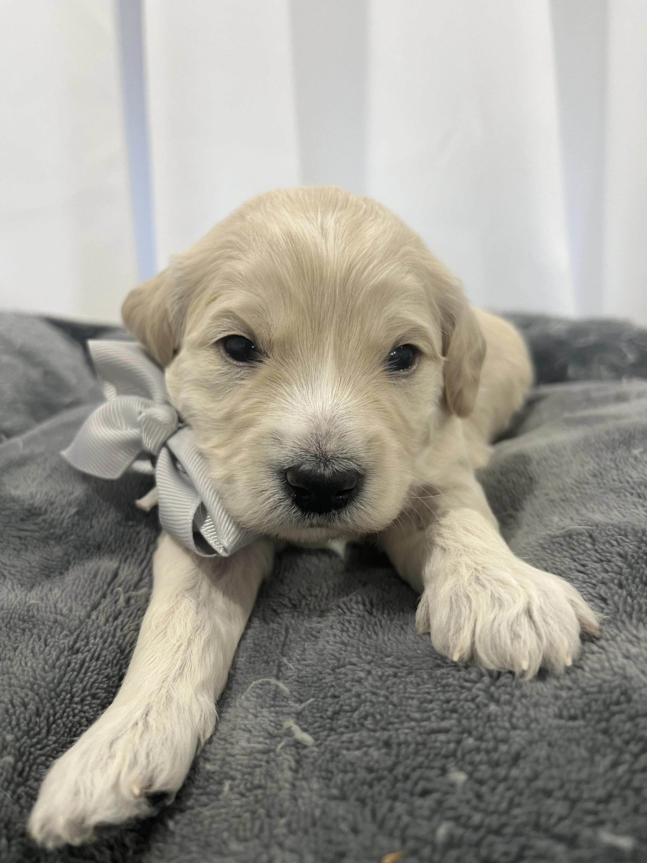 IMG_4091.jpeg