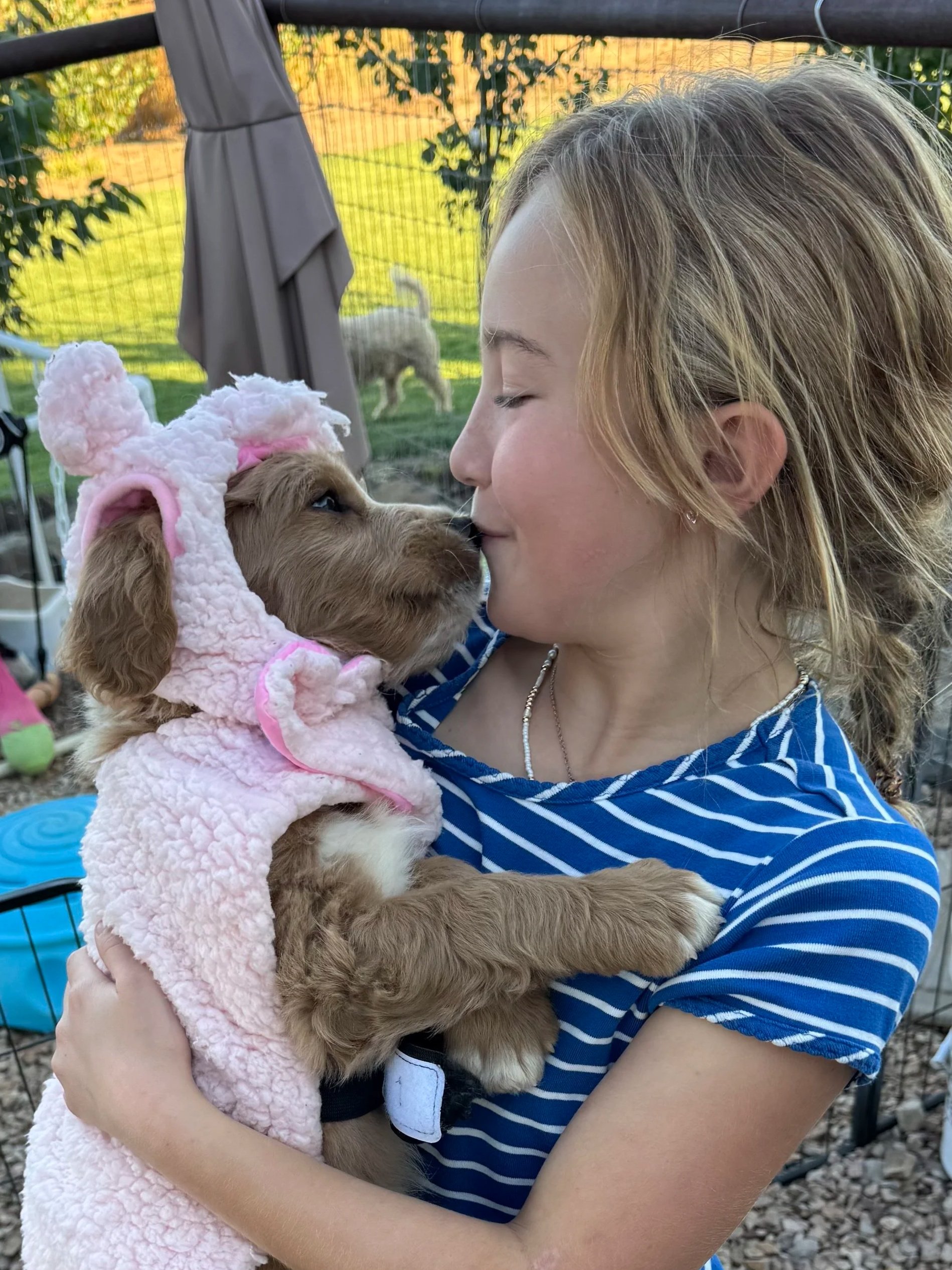 kid loving goldendoodle puppy in costume