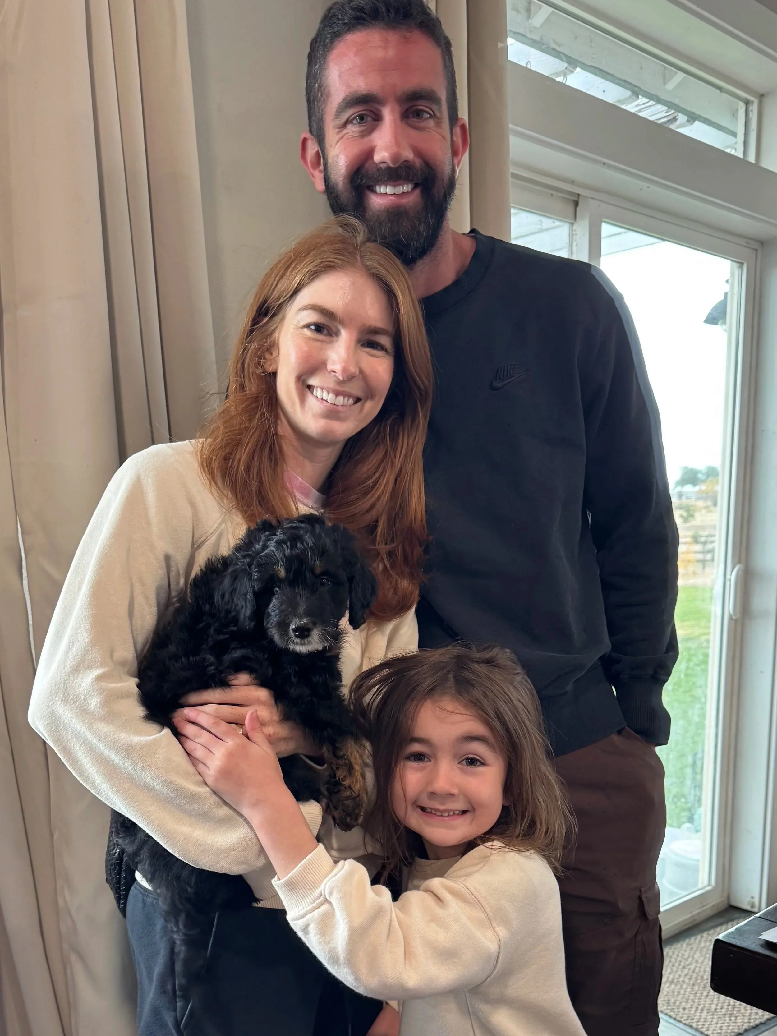 Bernedoodle puppy for San Francisco Bay Area family from High Desert Family Doodles Oregon