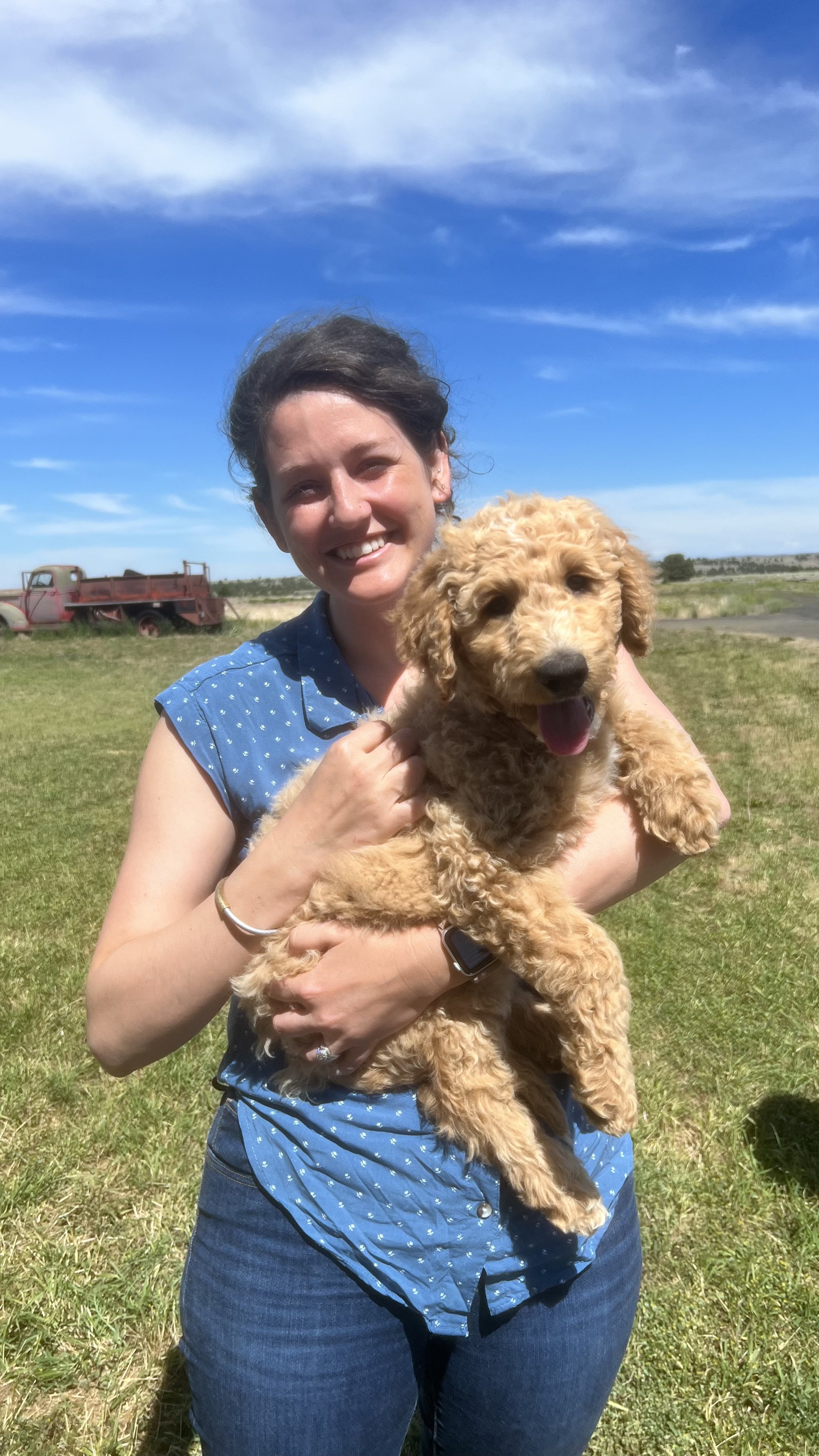 Goldendoodle puppy for Vancouver Washington family from High Desert Family Doodles
