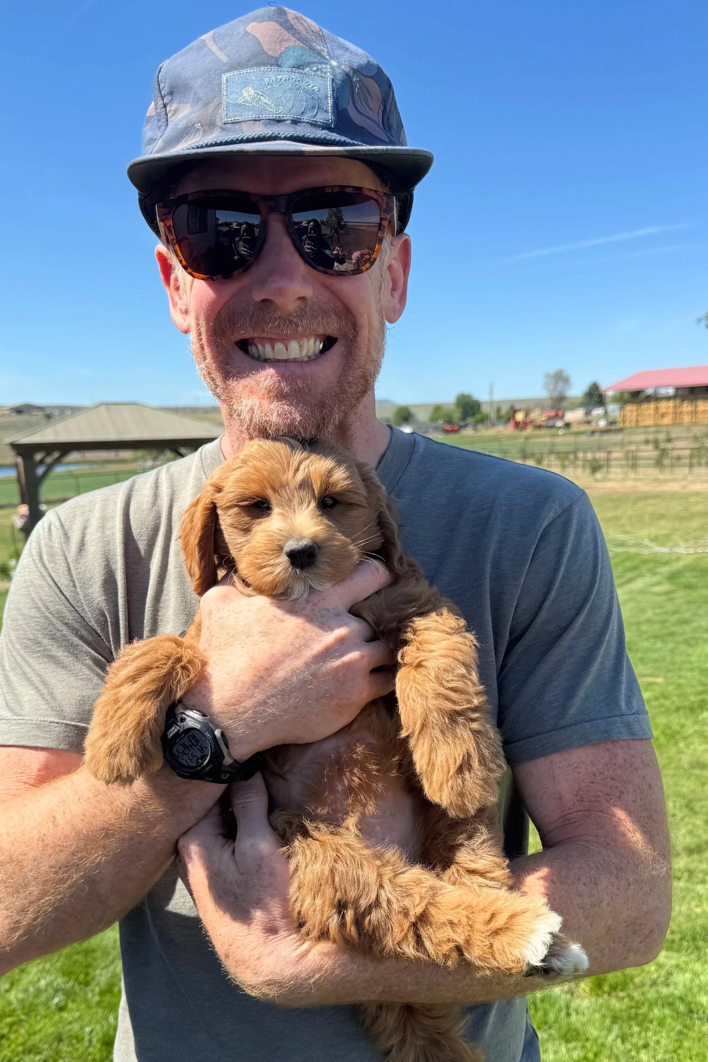 F1B goldendoodle puppy curly coat Eugene Oregon High Desert Family Doodles