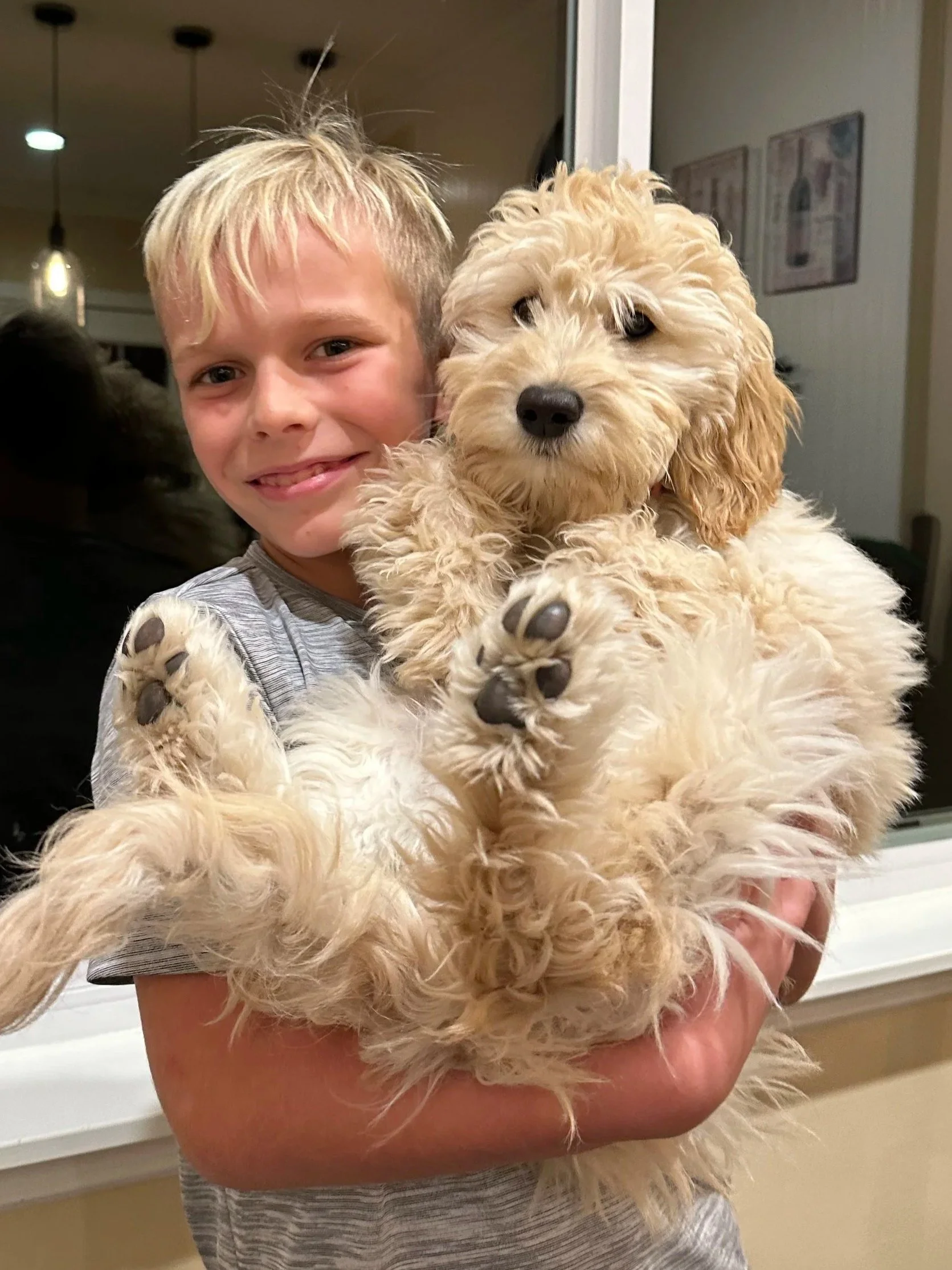 GANA Gold Good Dog certified goldendoodle parent OFA health tested High Desert Family Doodles Oregon
