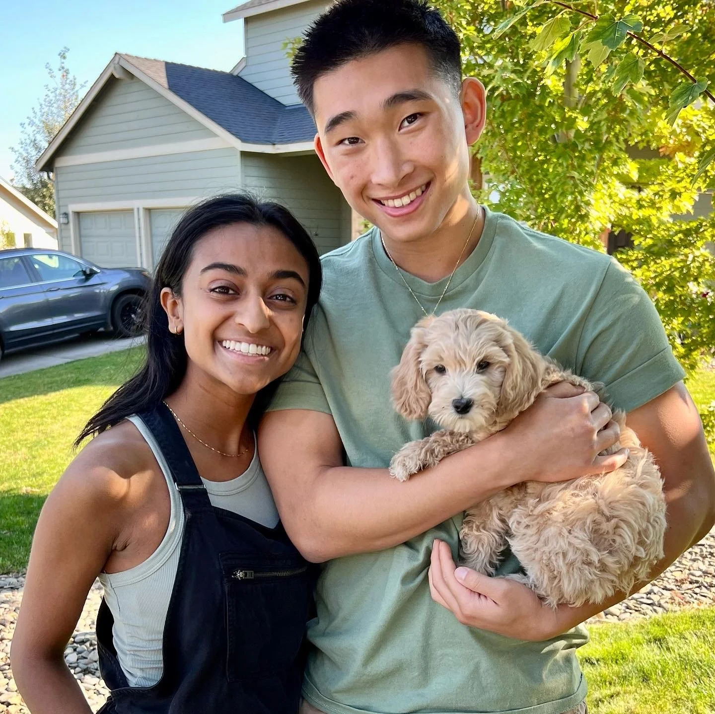 joy portland goldendoodle puppy family