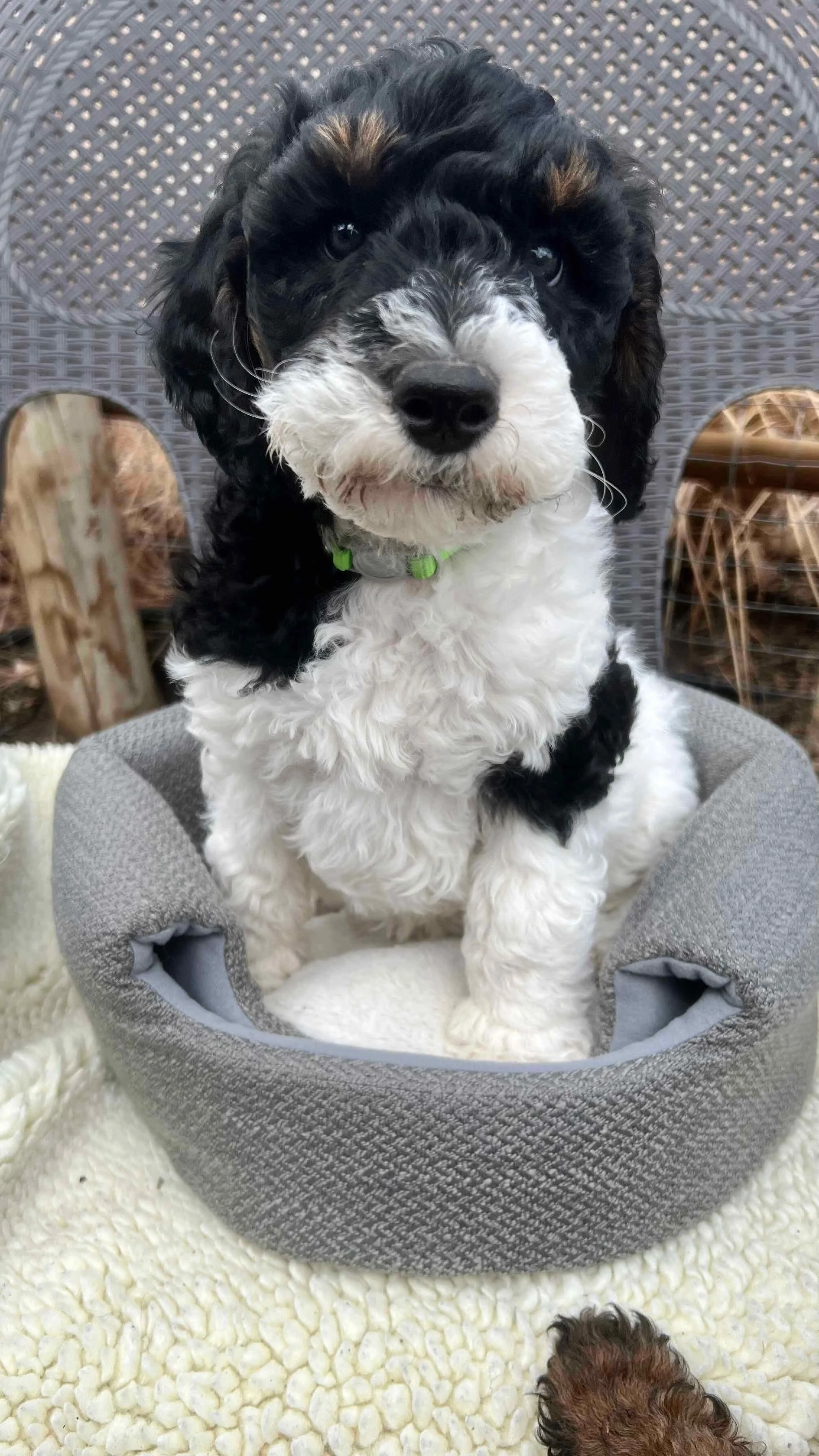 JPEG image-EB4320B856FB-1.jpeg