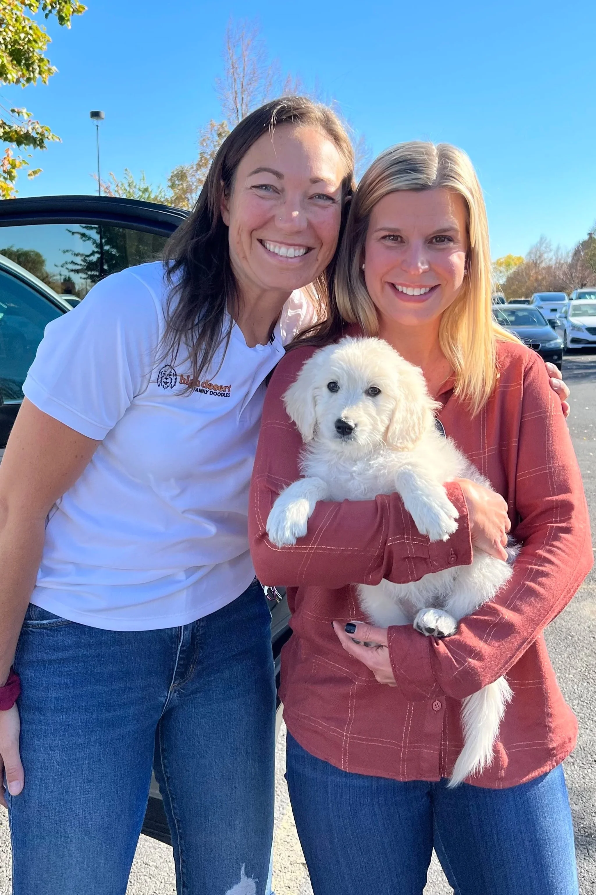portland goldendoodle puppy joy
