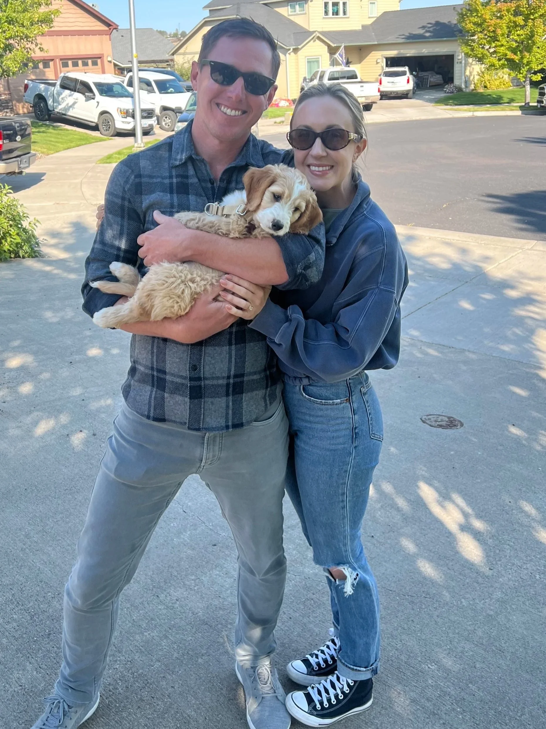 Goldendoodle puppy for Fresno California Central Valley family from High Desert Family Doodles