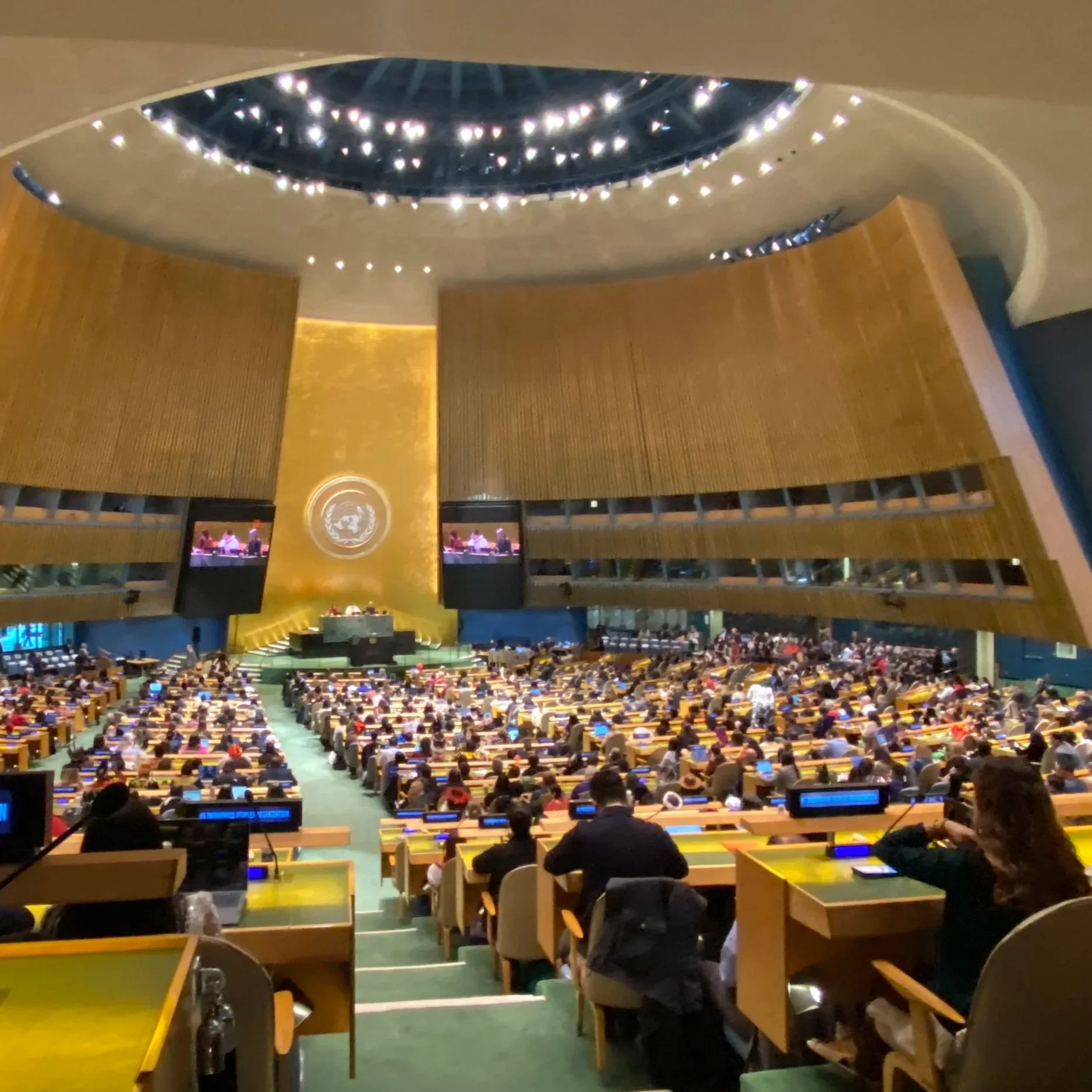 Adventure Time with CRAFT and Our Journey to the United Nations