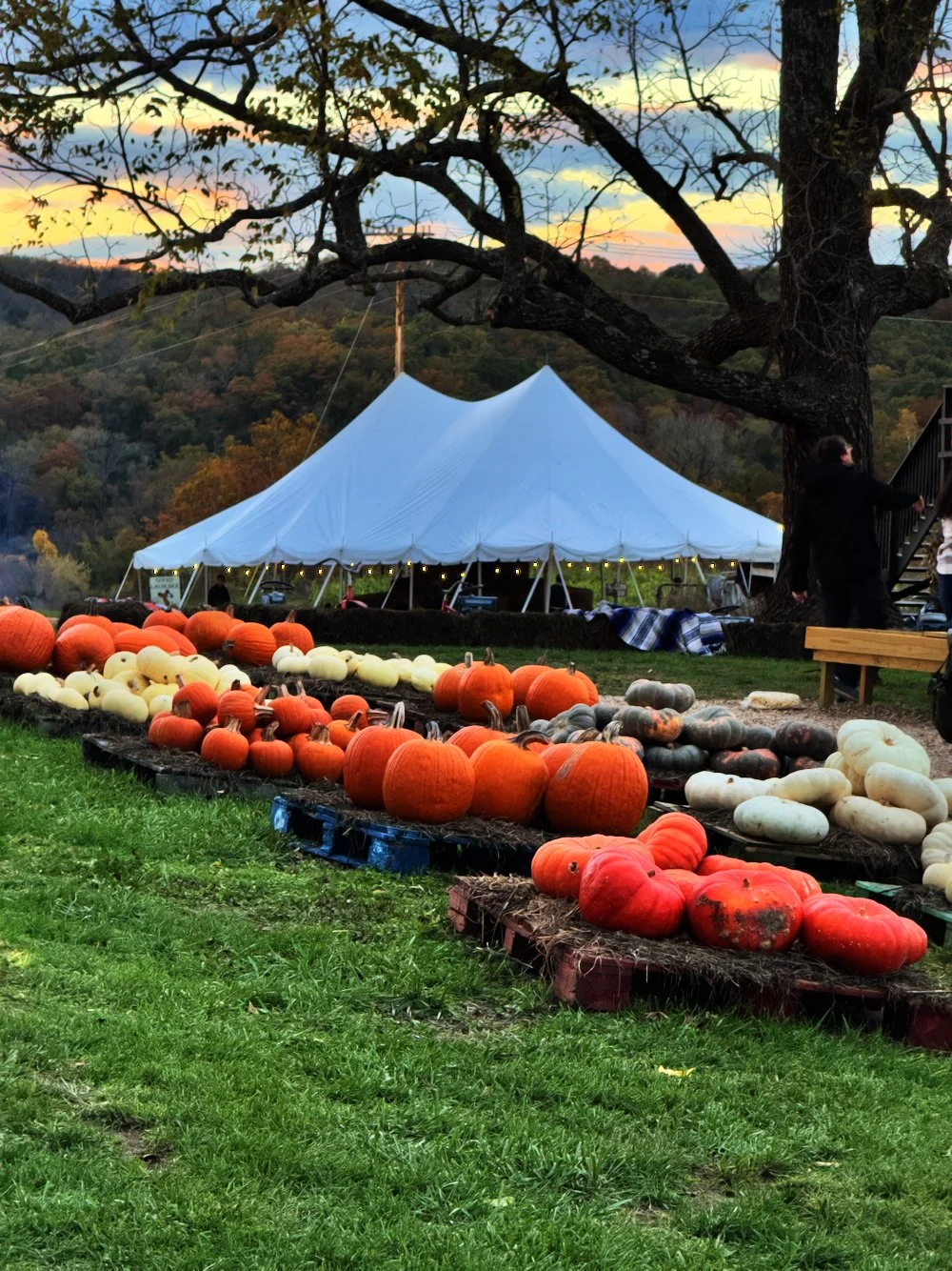 IMG_1380.jpeg