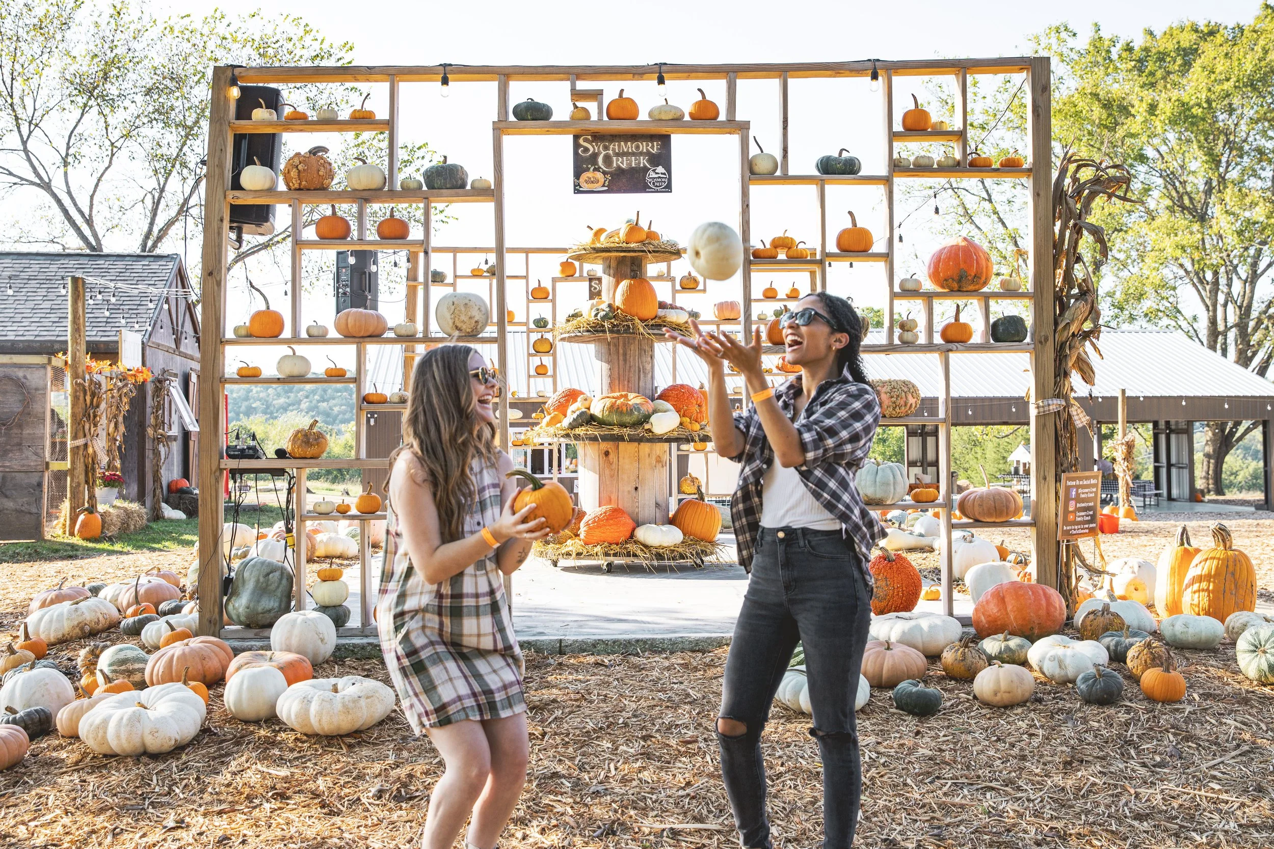 The Fall Roundup