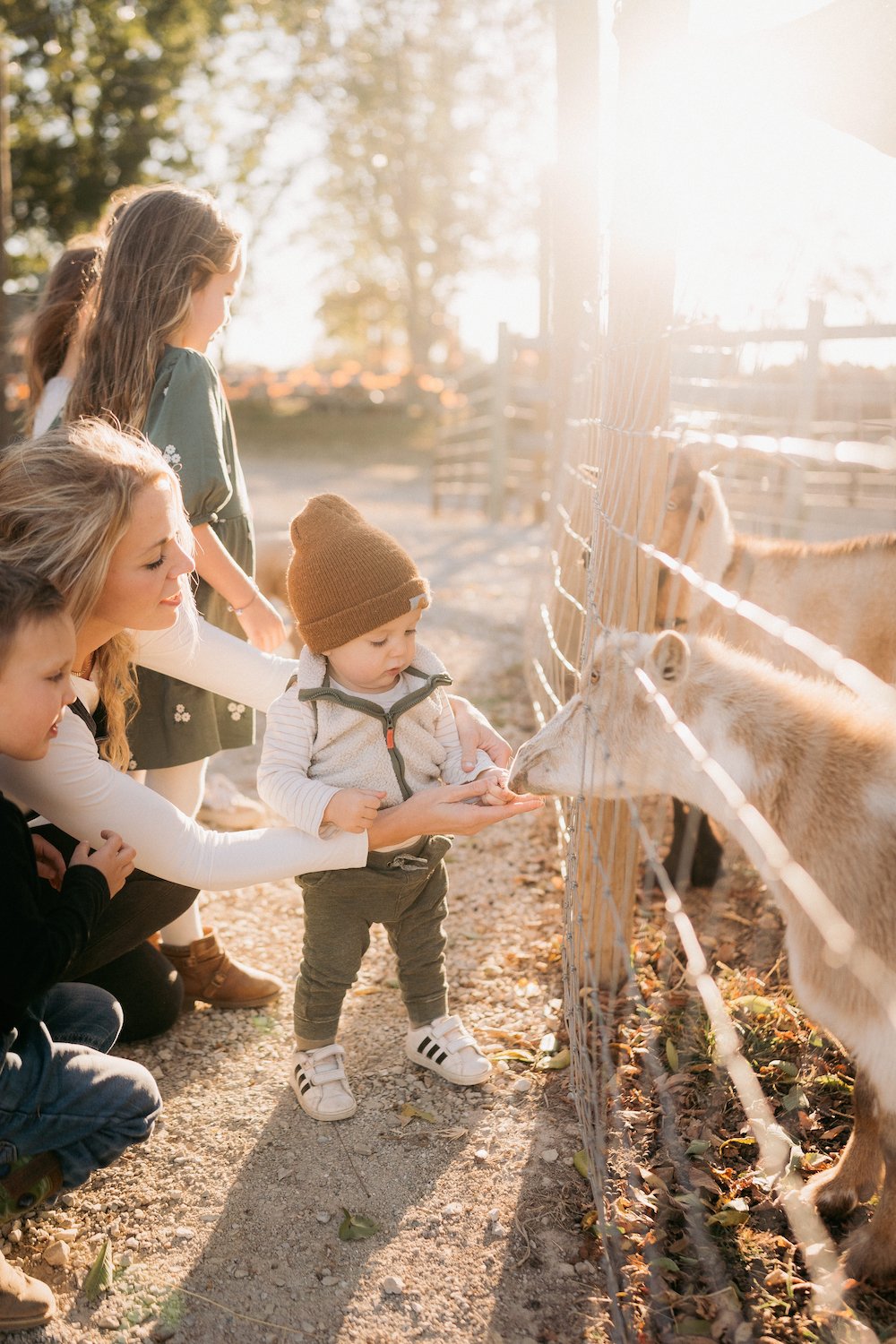 SycamoreCreekFallRoundup-14 (1).jpeg