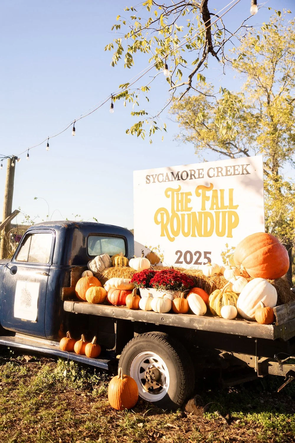 2sycamore2025-73.jpeg