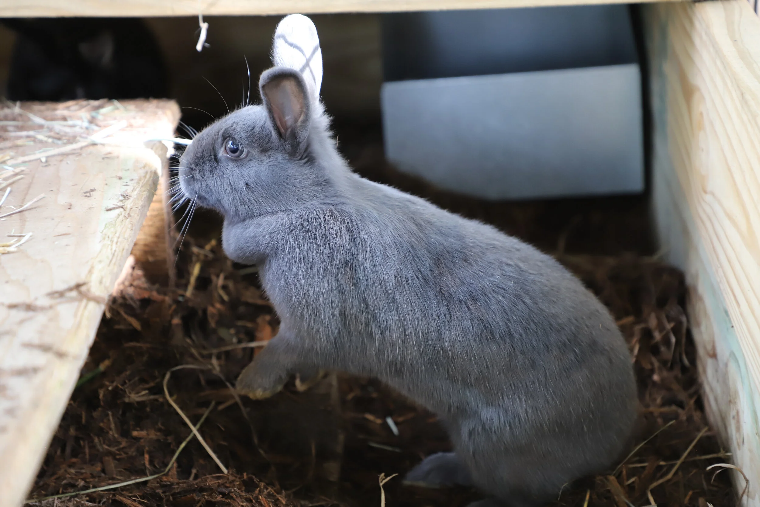 Meet MCF — Moorcroft Conservation Foundation