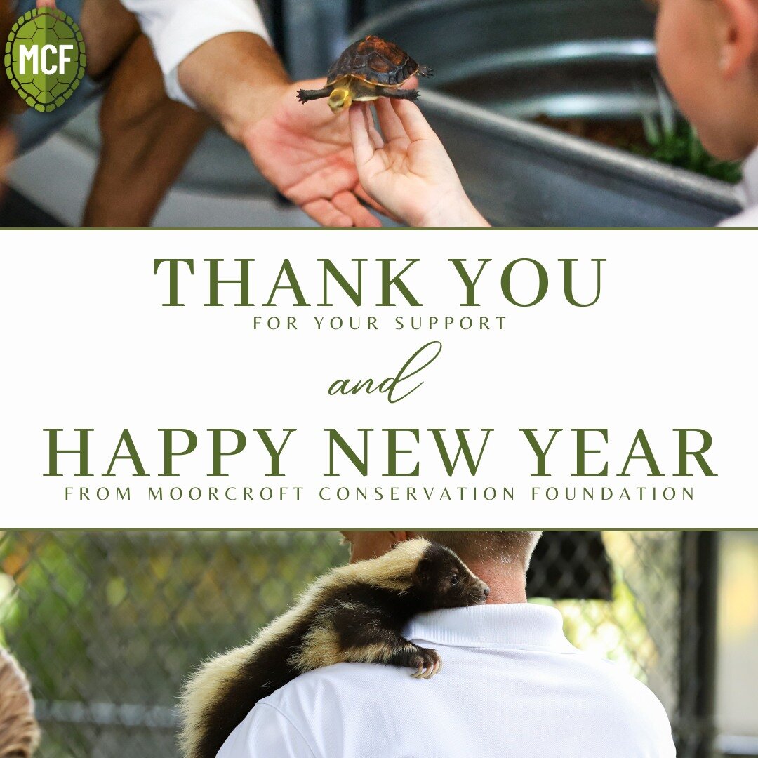 MCF wishes everyone a Happy New Year!