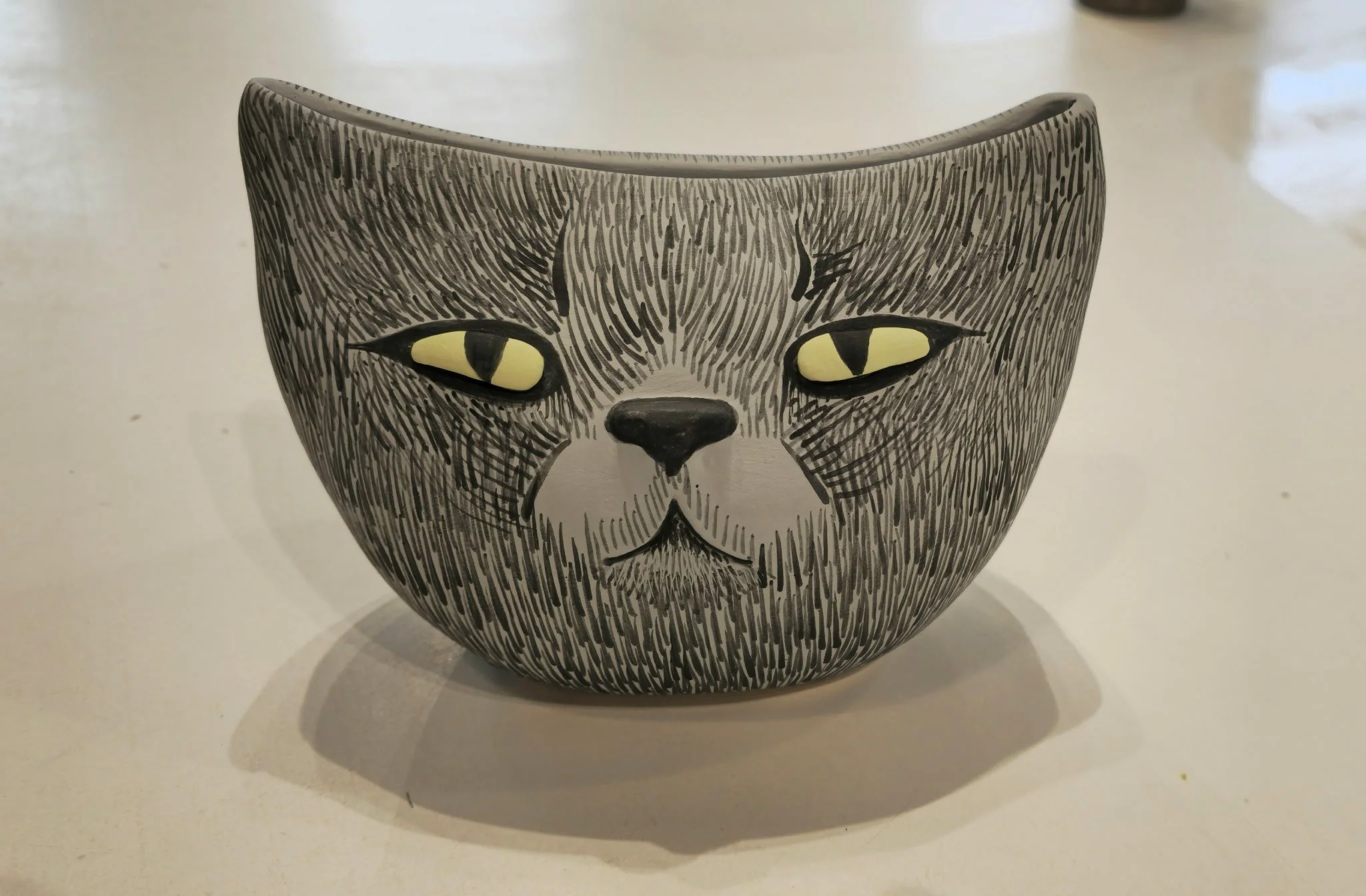 Elm cat.jpeg