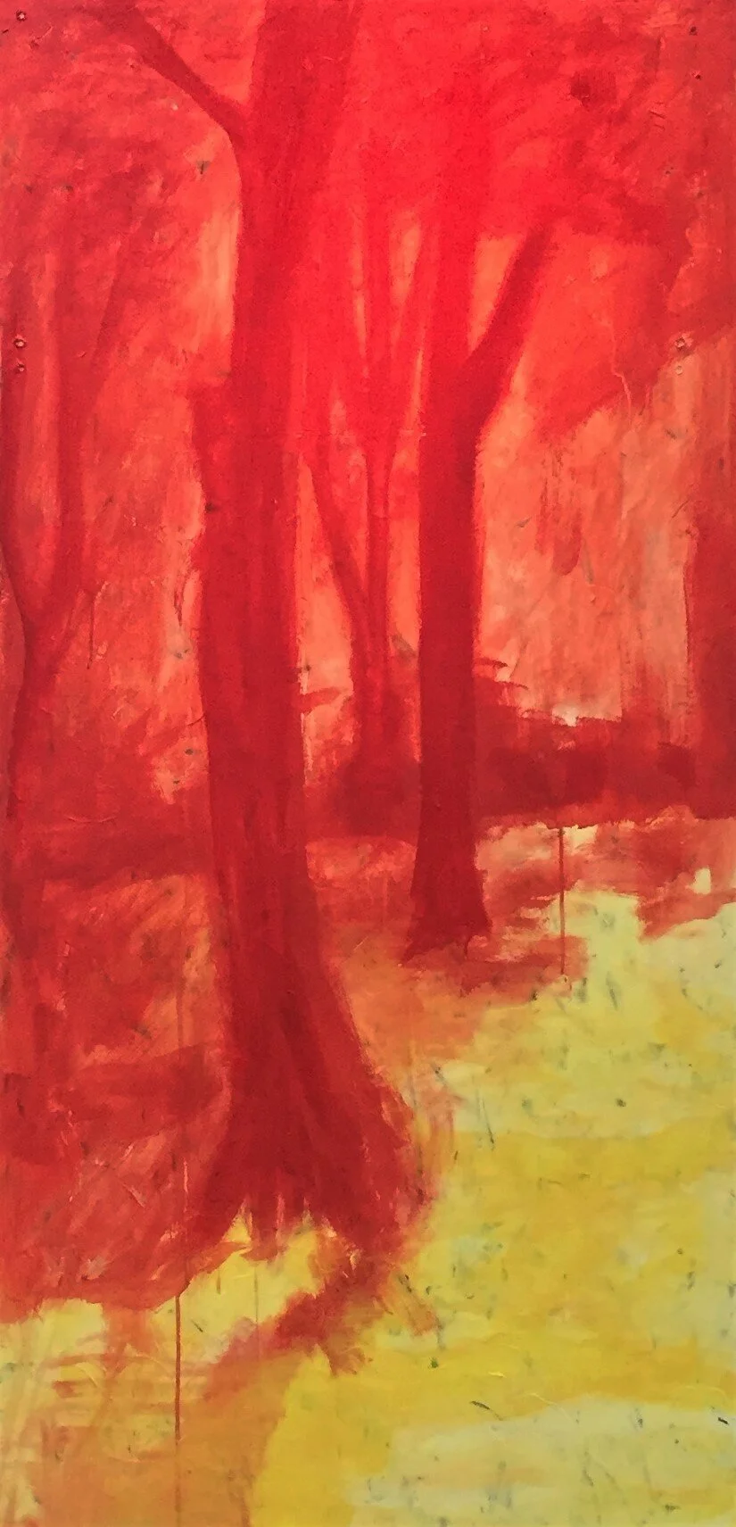 mystic forest 1.JPG