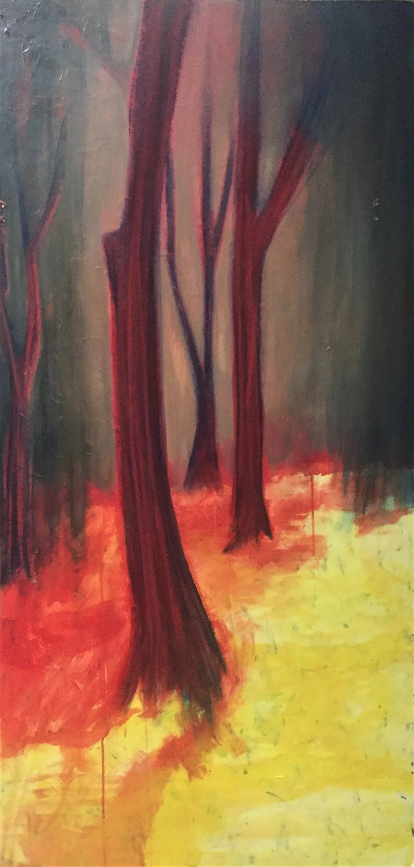 mystic forest 3.JPG