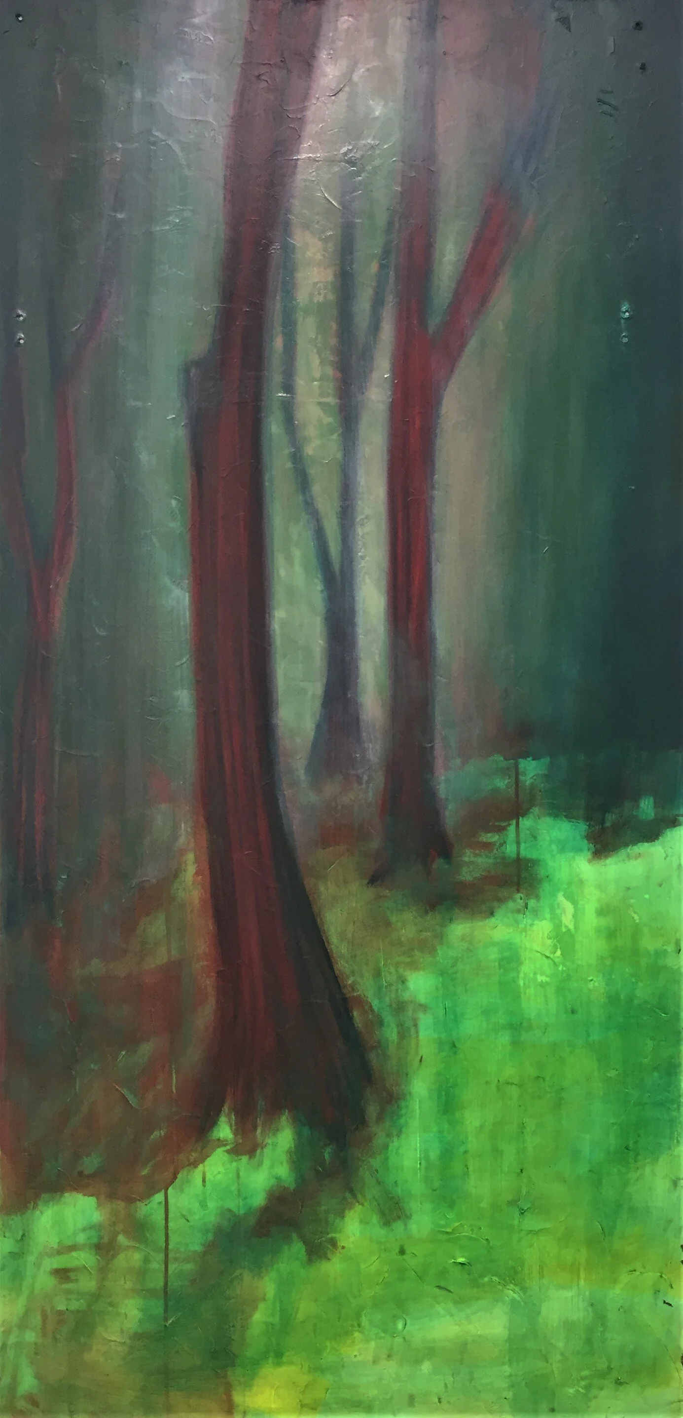 mystic forest 4.JPG