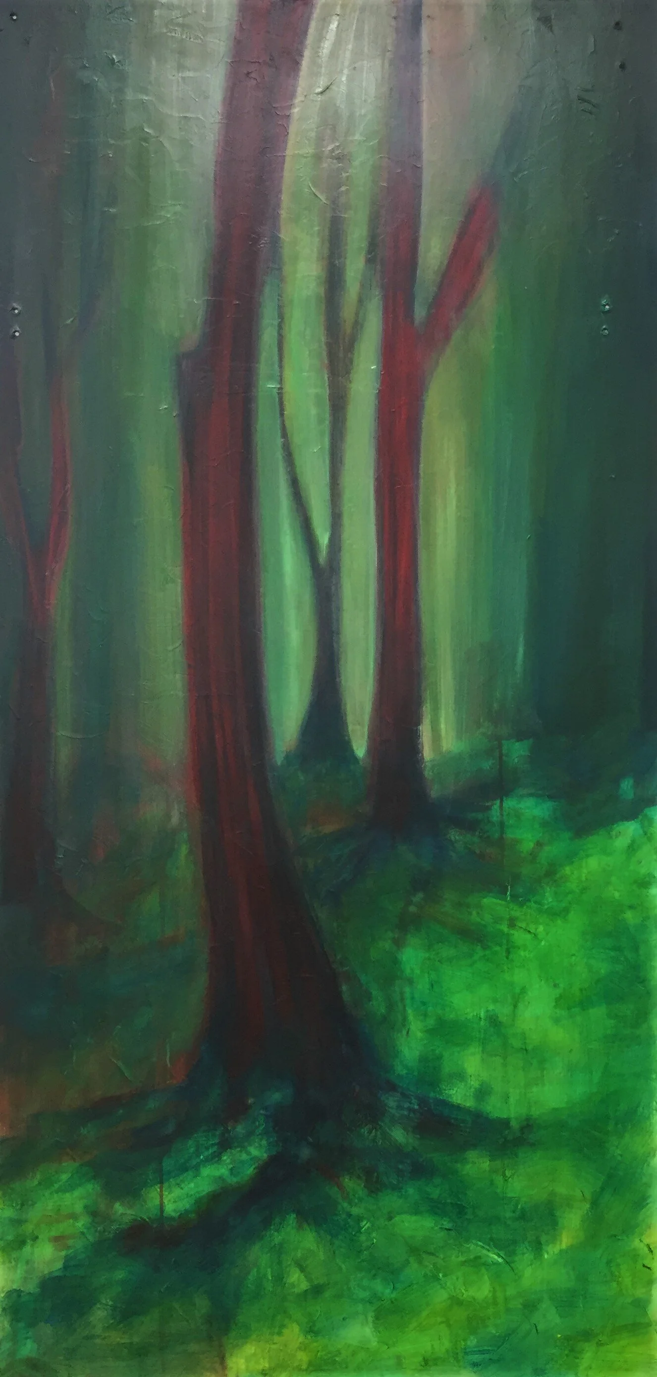 mystic forest 5.JPG