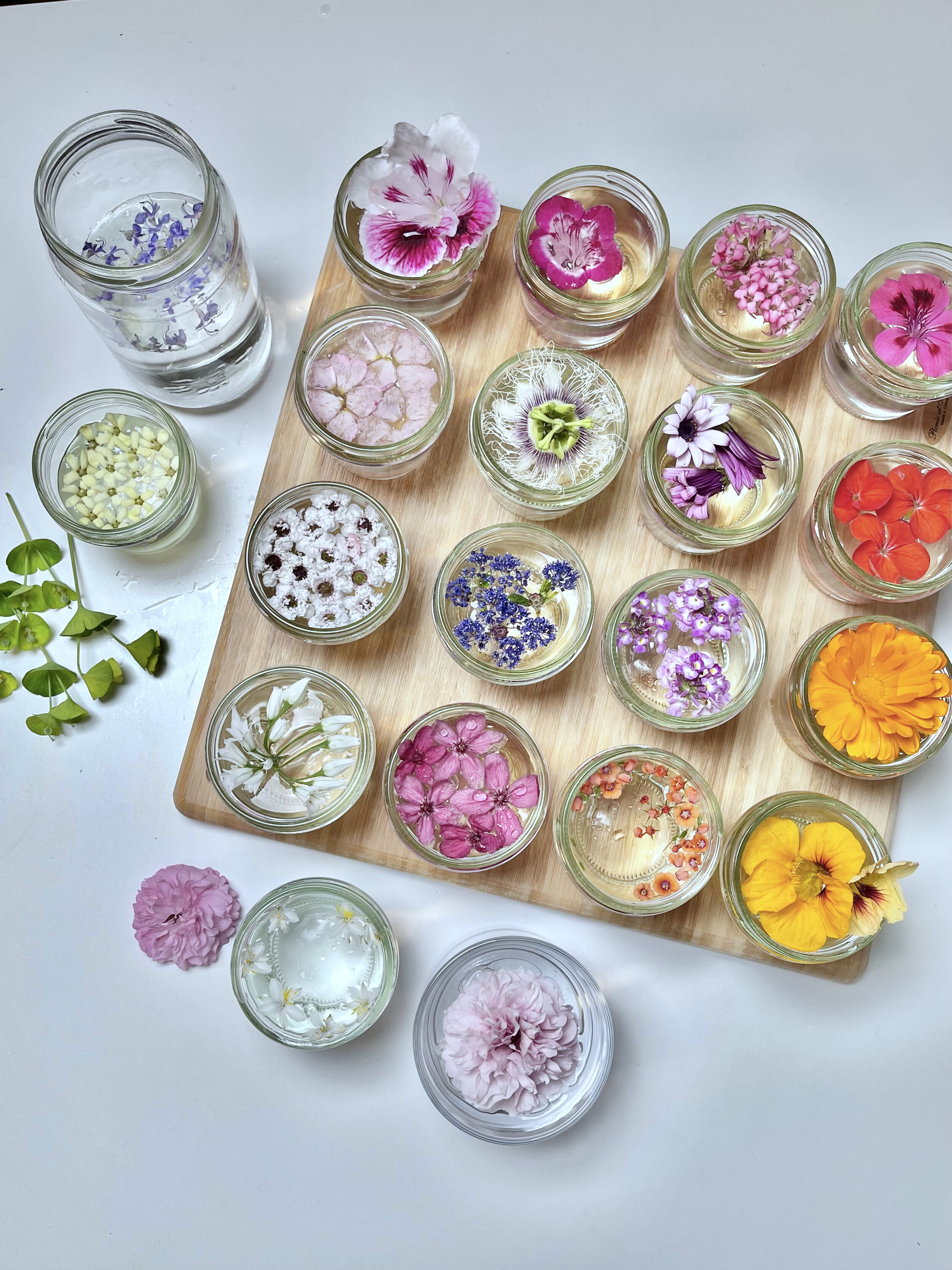 Earthn How to Make Flower Essences — earthn