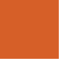 Shamrock-College_Orange.png