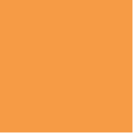 Shamrock-College_Tangerine.png