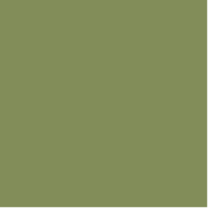 Shamrock-College_Sage.png