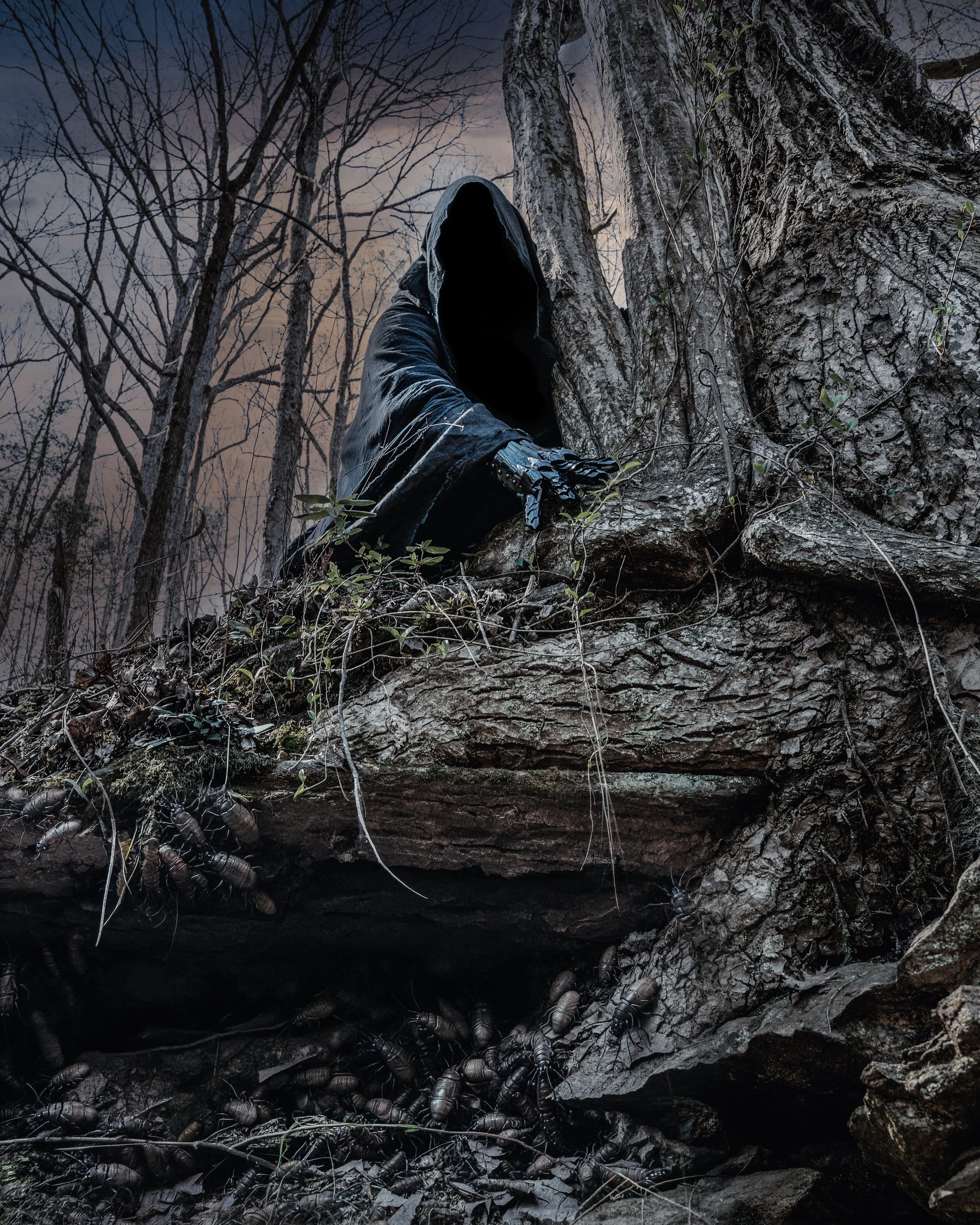 _DSC7144-Edit-Edit.jpg