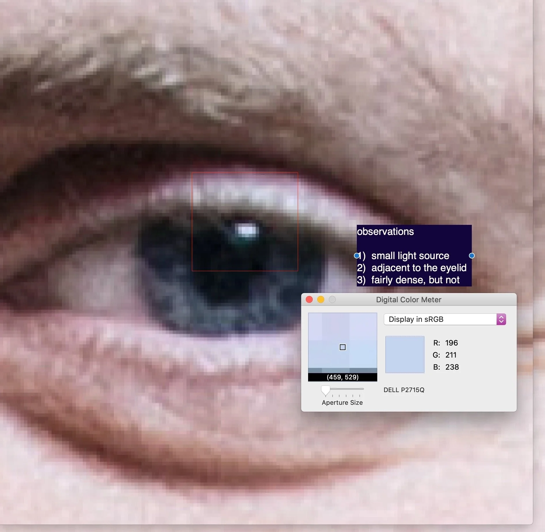 Screen Shot 2022-08-09 at 07.03.47.JPG