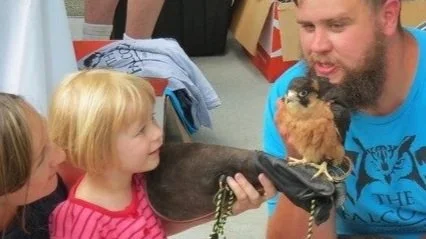 Taita+Falcon+Encounter.jpg