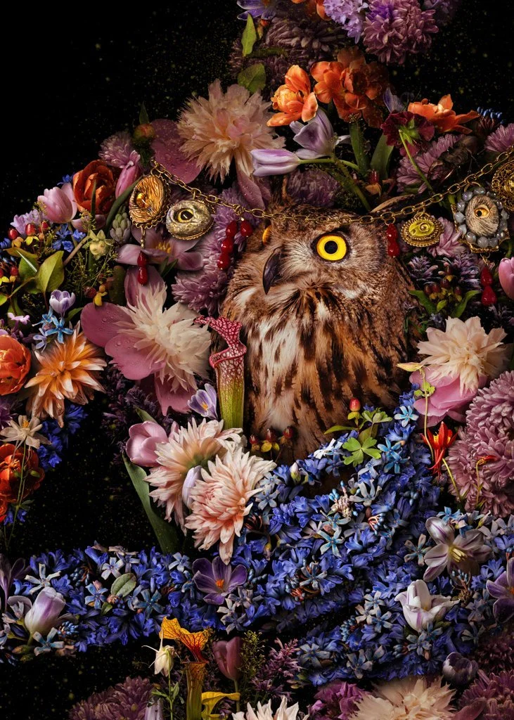 OwlDetail.jpg