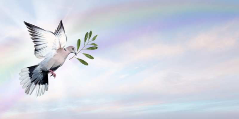 Patanjali’s eight limbs of yoga: YAMA | Ahimsa