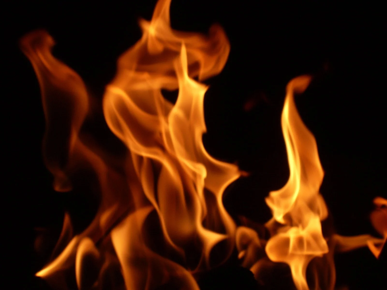 40 Day Journey to Self Realisation: illumination