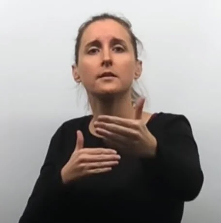BEAUTIFUL SOLDIER Click on image: Beautifully signed into New Zealand Sign Language (NZSL) by Sarah Mason - Produced by Tim Carson