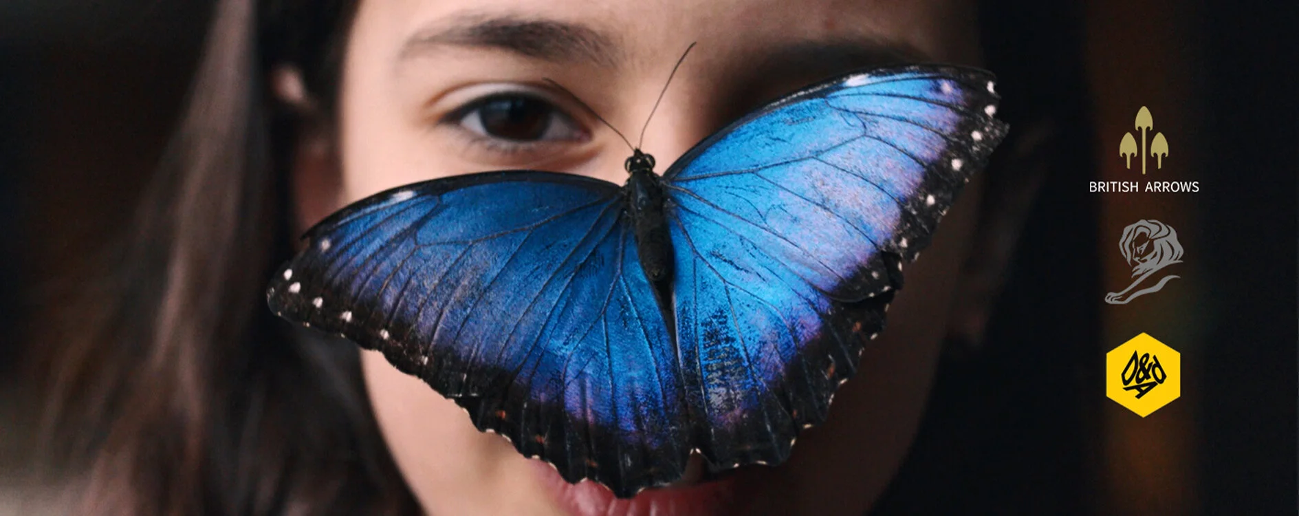 LAND ROVER : 70 Years Young