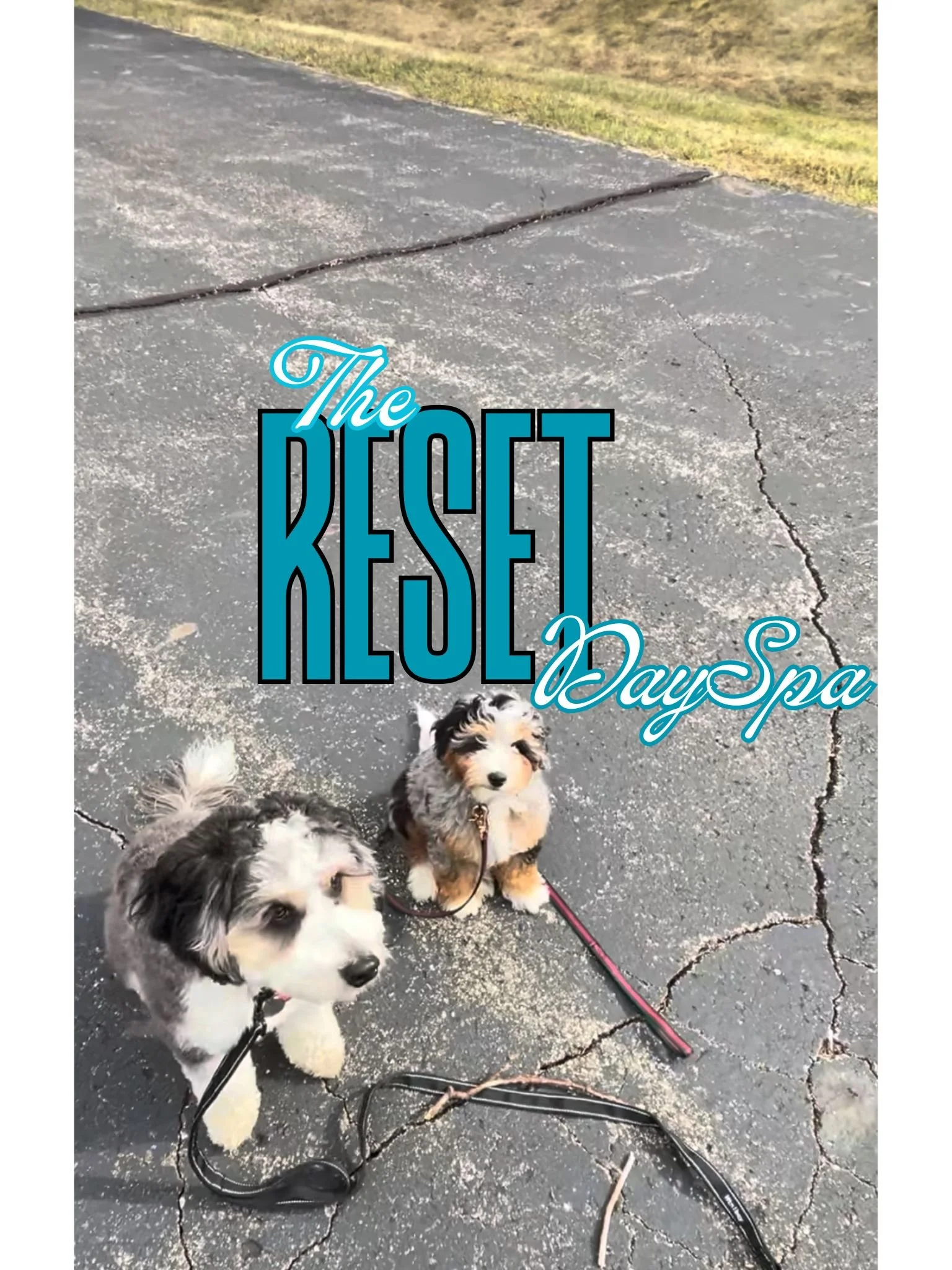 The Reset