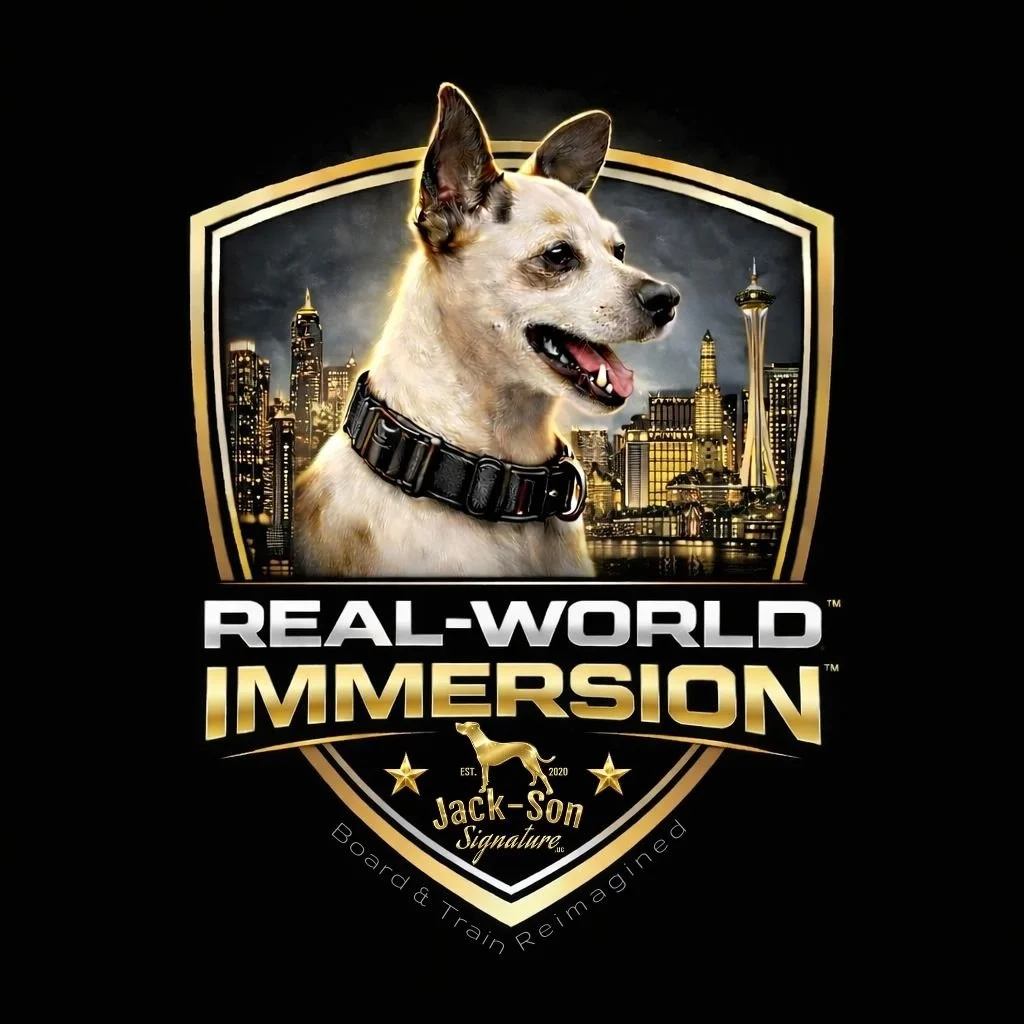 Real-World Immersion™