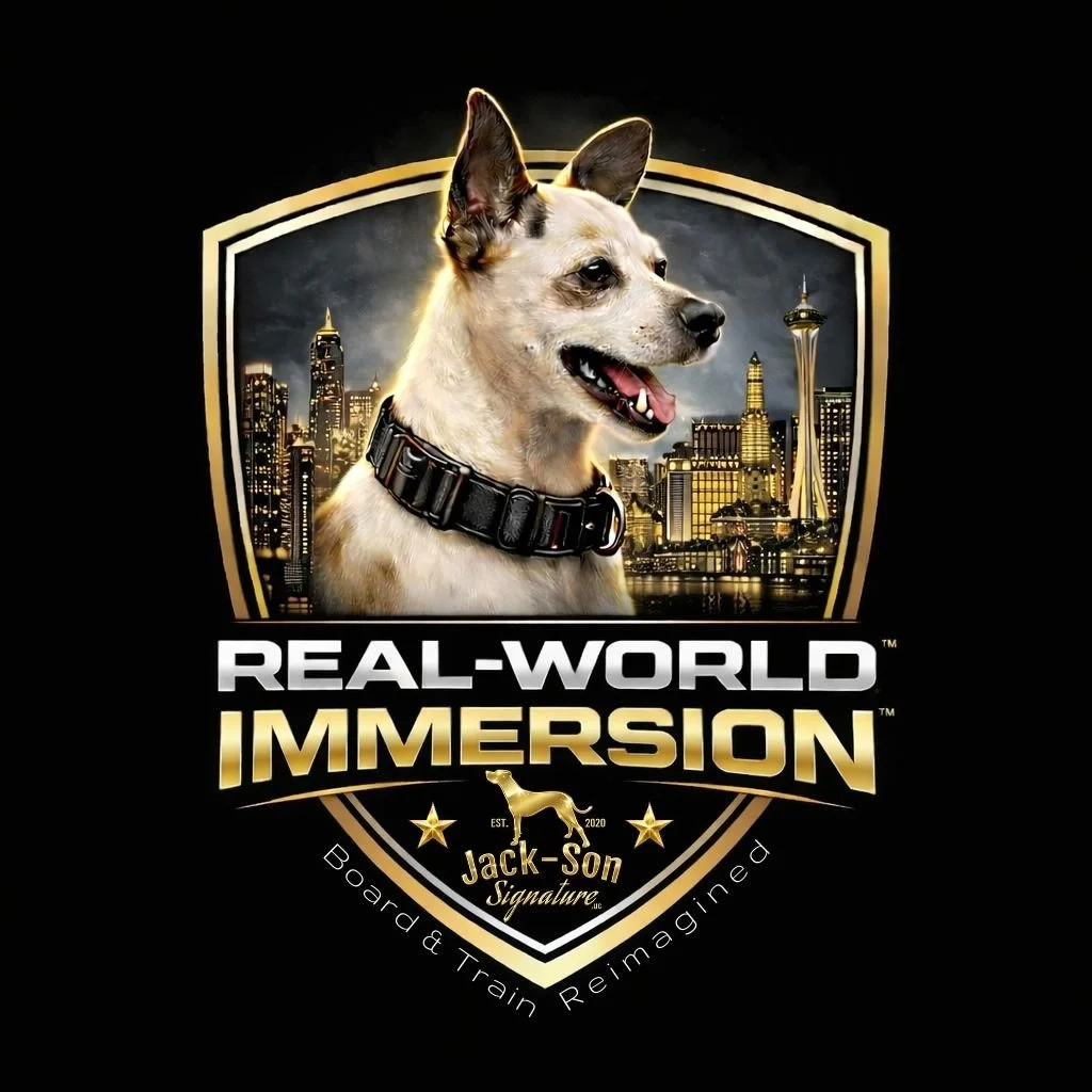 Real-World Immersion™