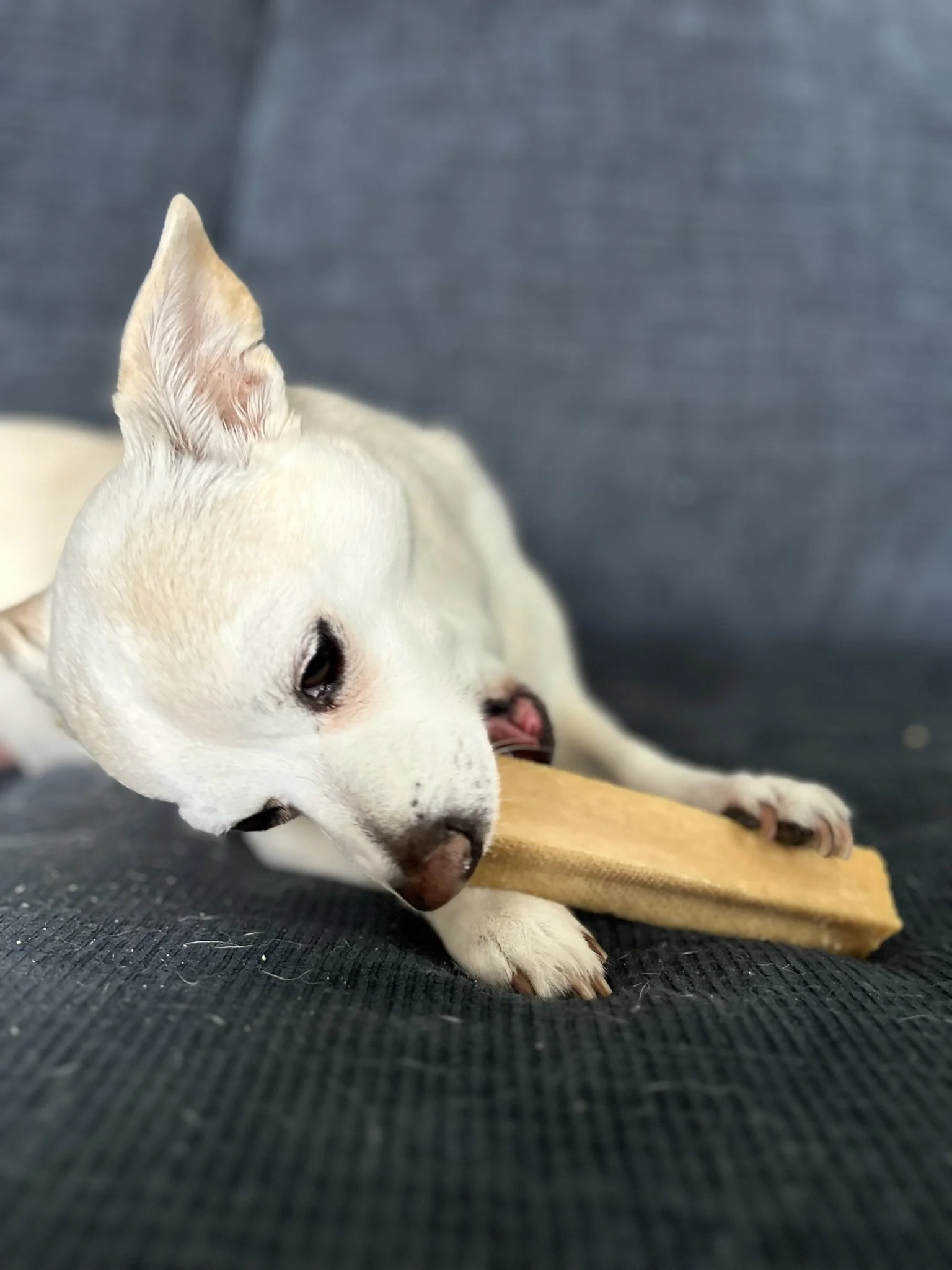Yak-Son Chews™