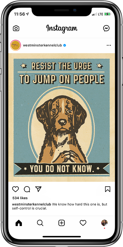 Westminster IG Phone Jump.png
