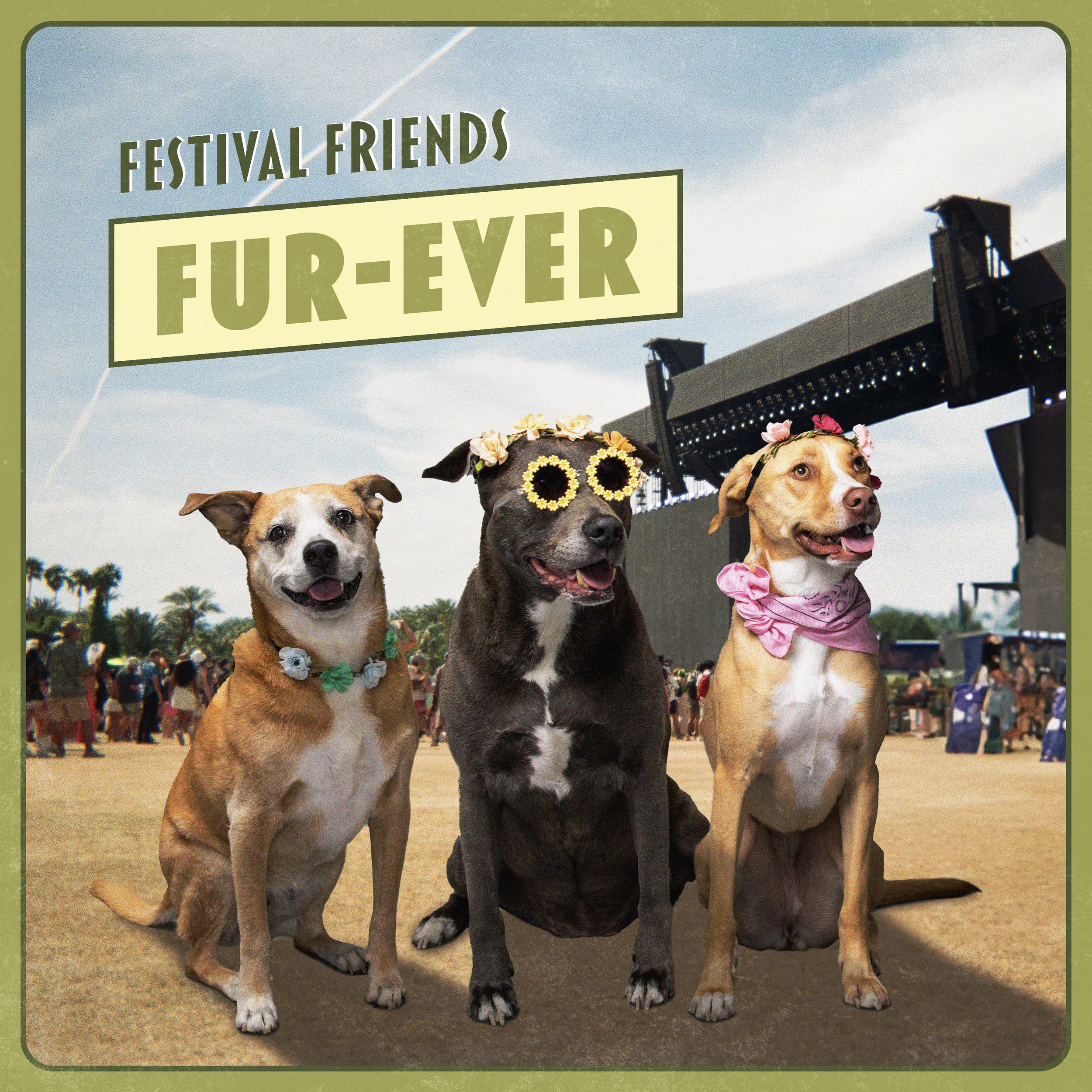 Dogs Of DLA Calendar 2024_Final_Page_08.png