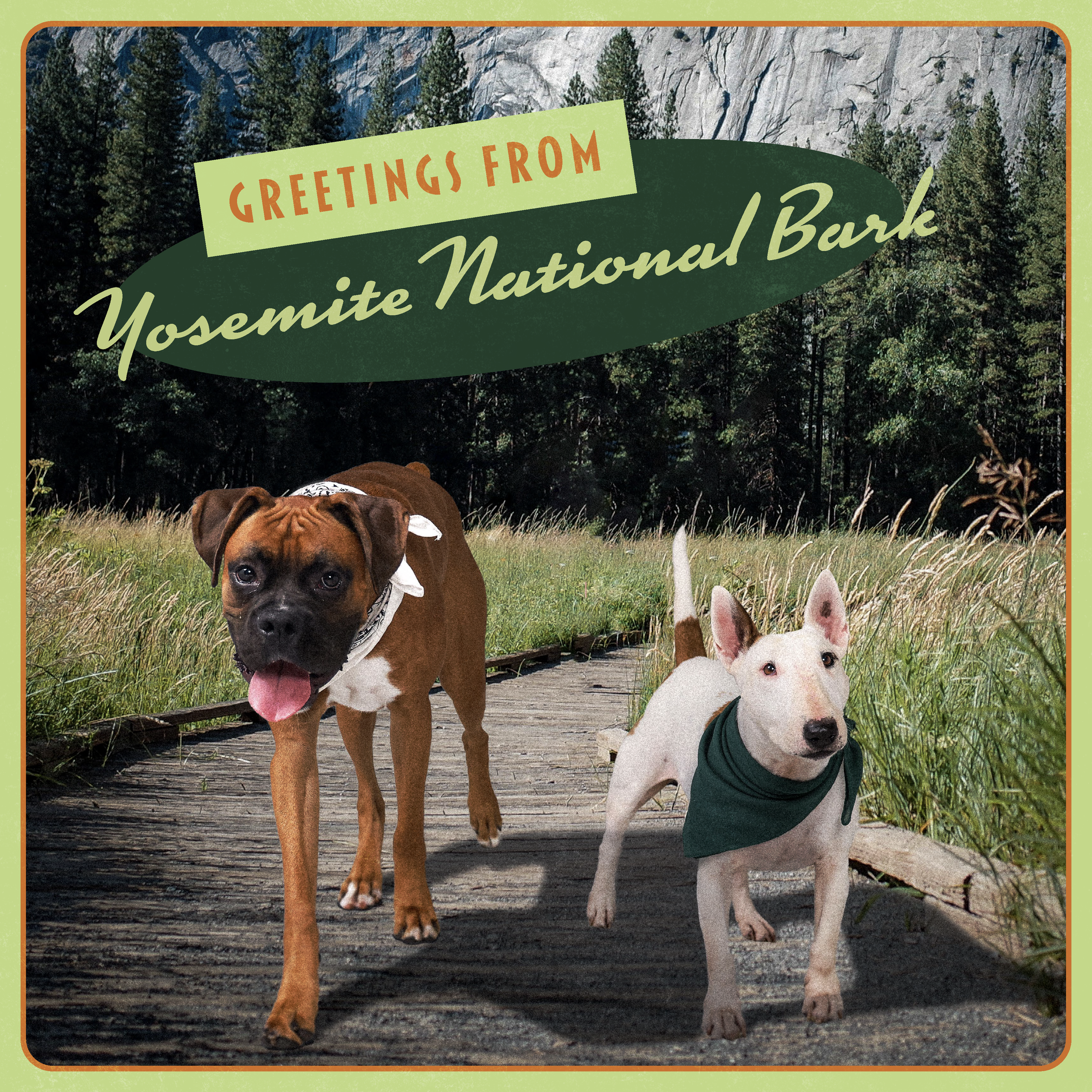 Dogs Of DLA Calendar 2024_Final_Page_22.png
