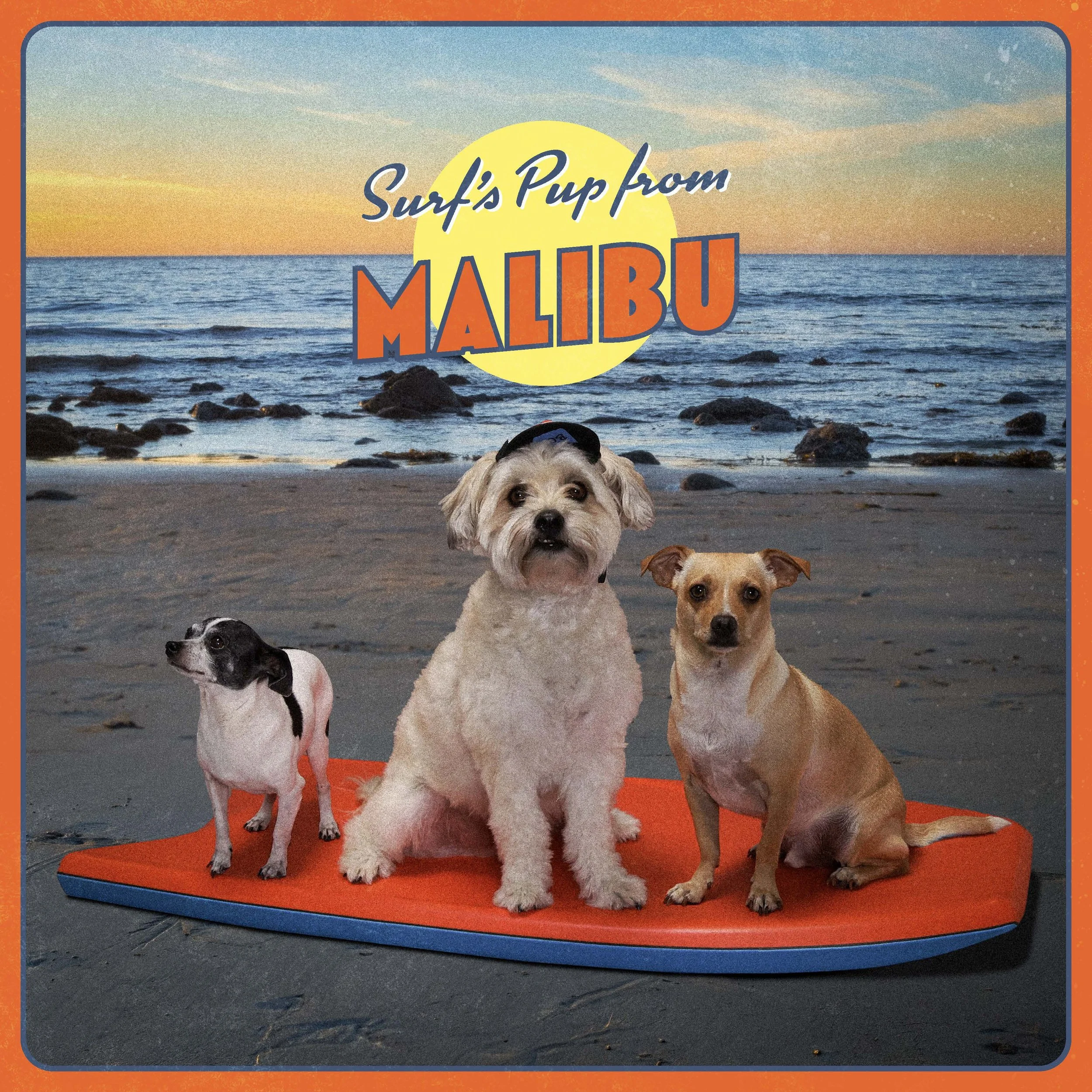 Dogs Of DLA Calendar 2024_Final_Page_16.jpg