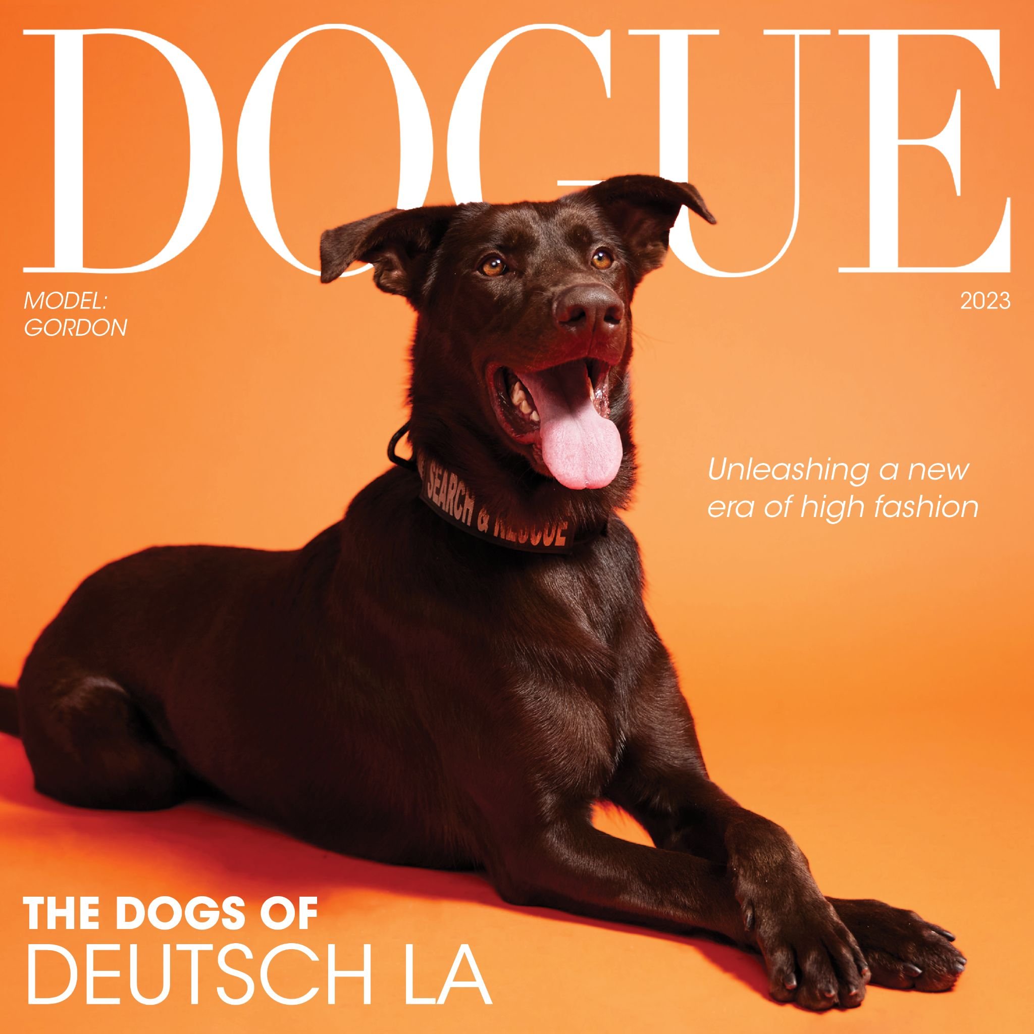 The Dogs of Deutsch LA_Page_01_Image_0001.jpg