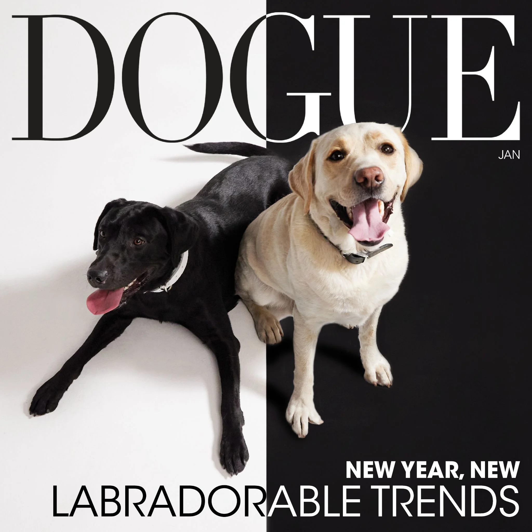 The Dogs of Deutsch LA_Page_02_Image_0004.jpg