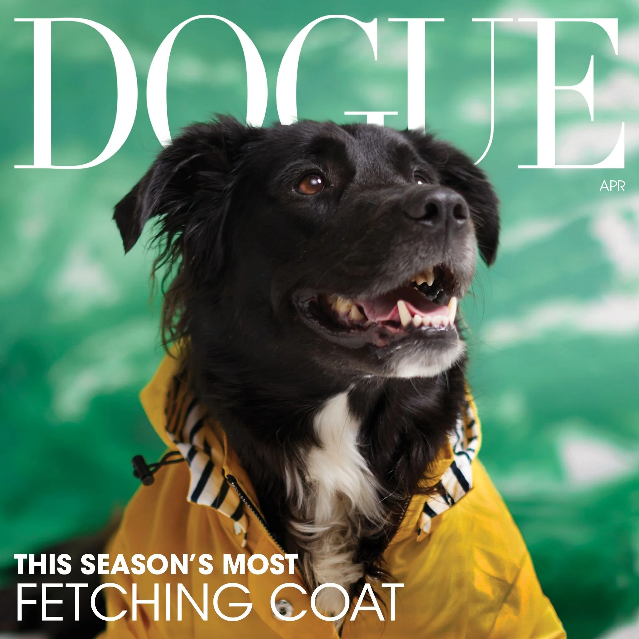 The Dogs of Deutsch LA_Page_05_Image_0002.jpg