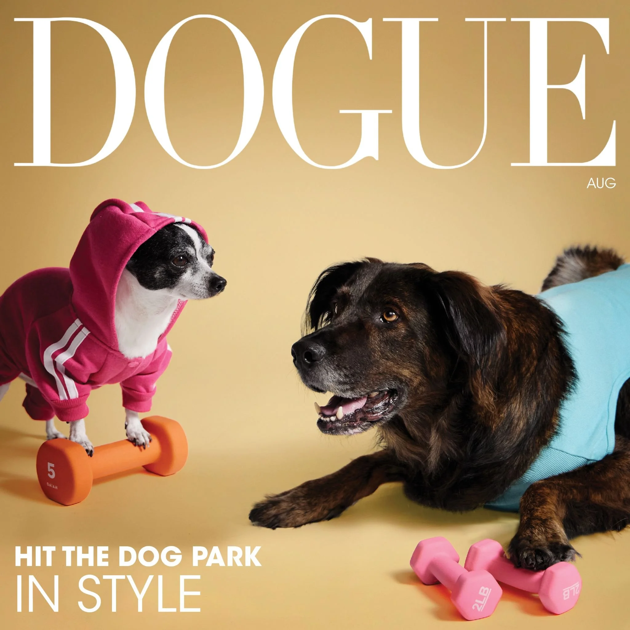 The Dogs of Deutsch LA_Page_09_Image_0001.jpg