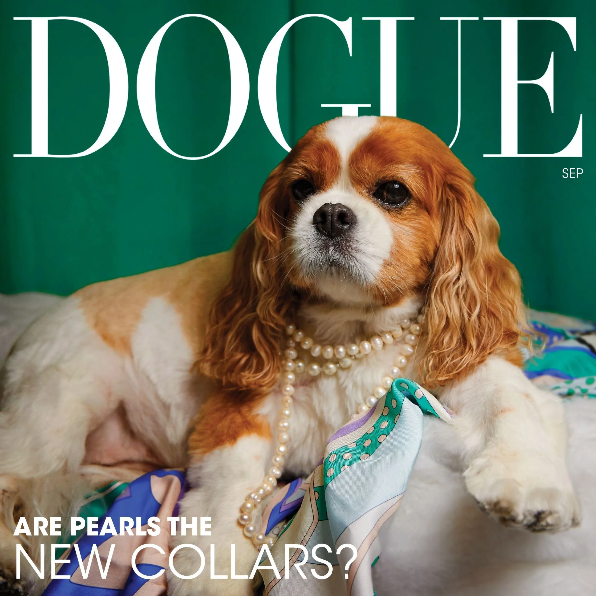 The Dogs of Deutsch LA_Page_10_Image_0001.jpg