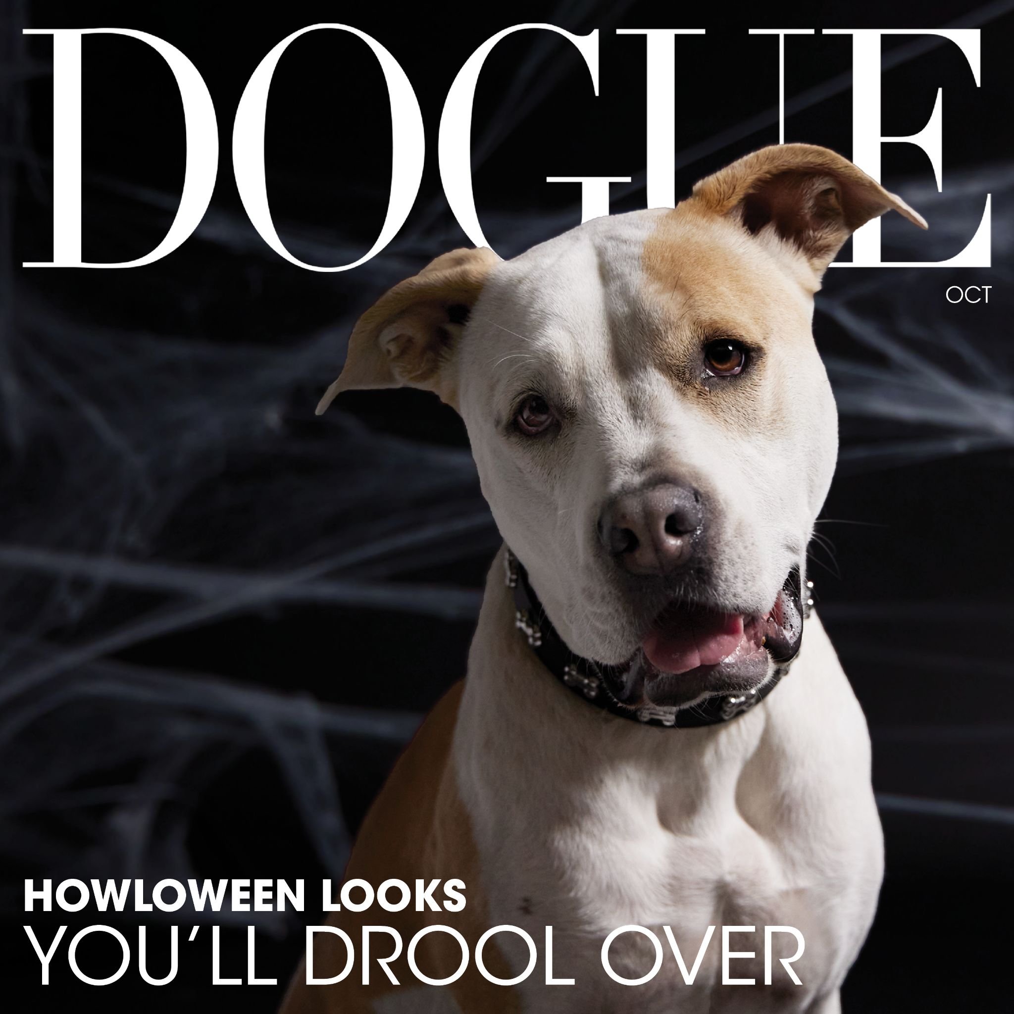 The Dogs of Deutsch LA_Page_11_Image_0002.jpg